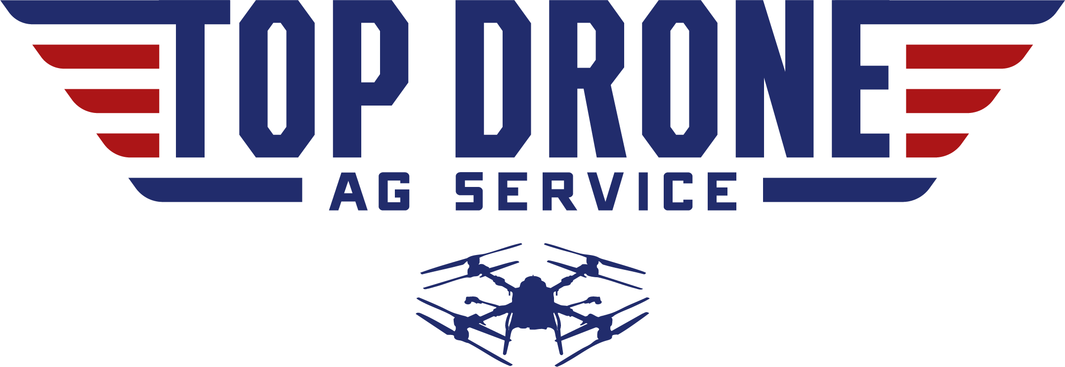 Logo of Top Drove AG Service with red and blue wings and a drone below in blue.