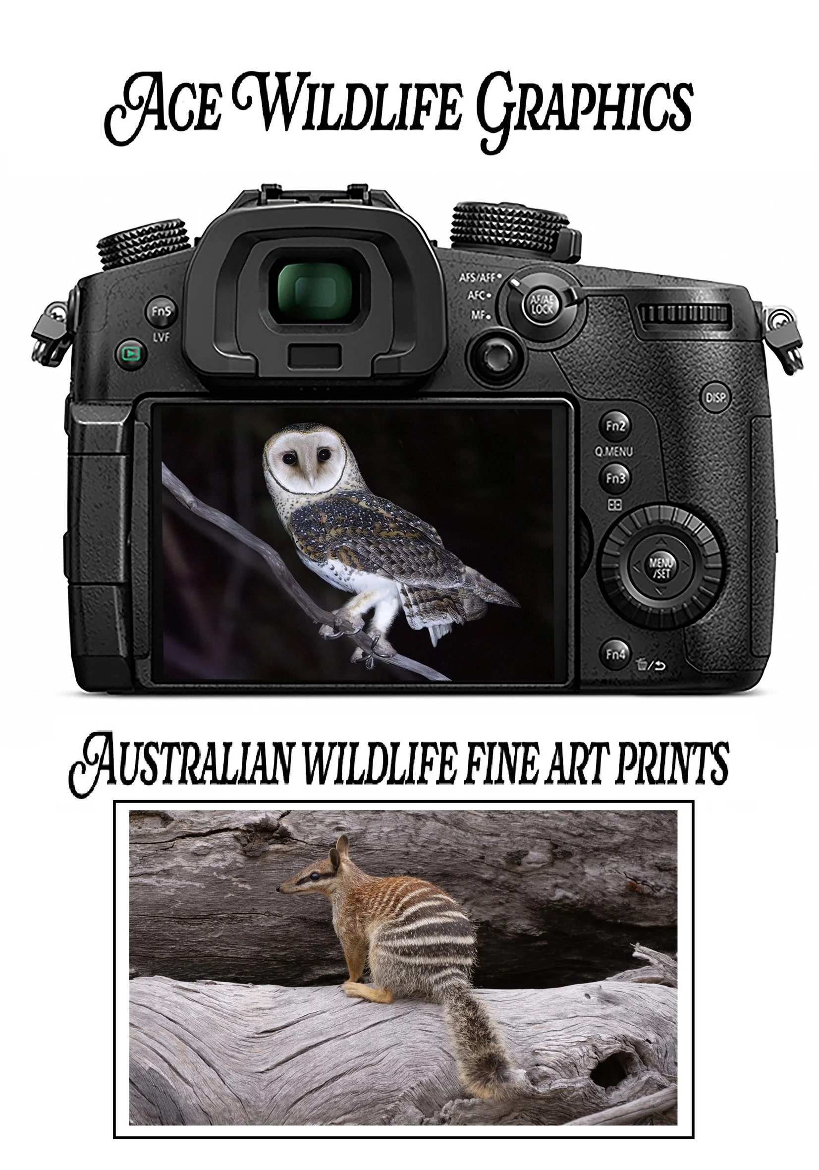 new front page 5.jpg