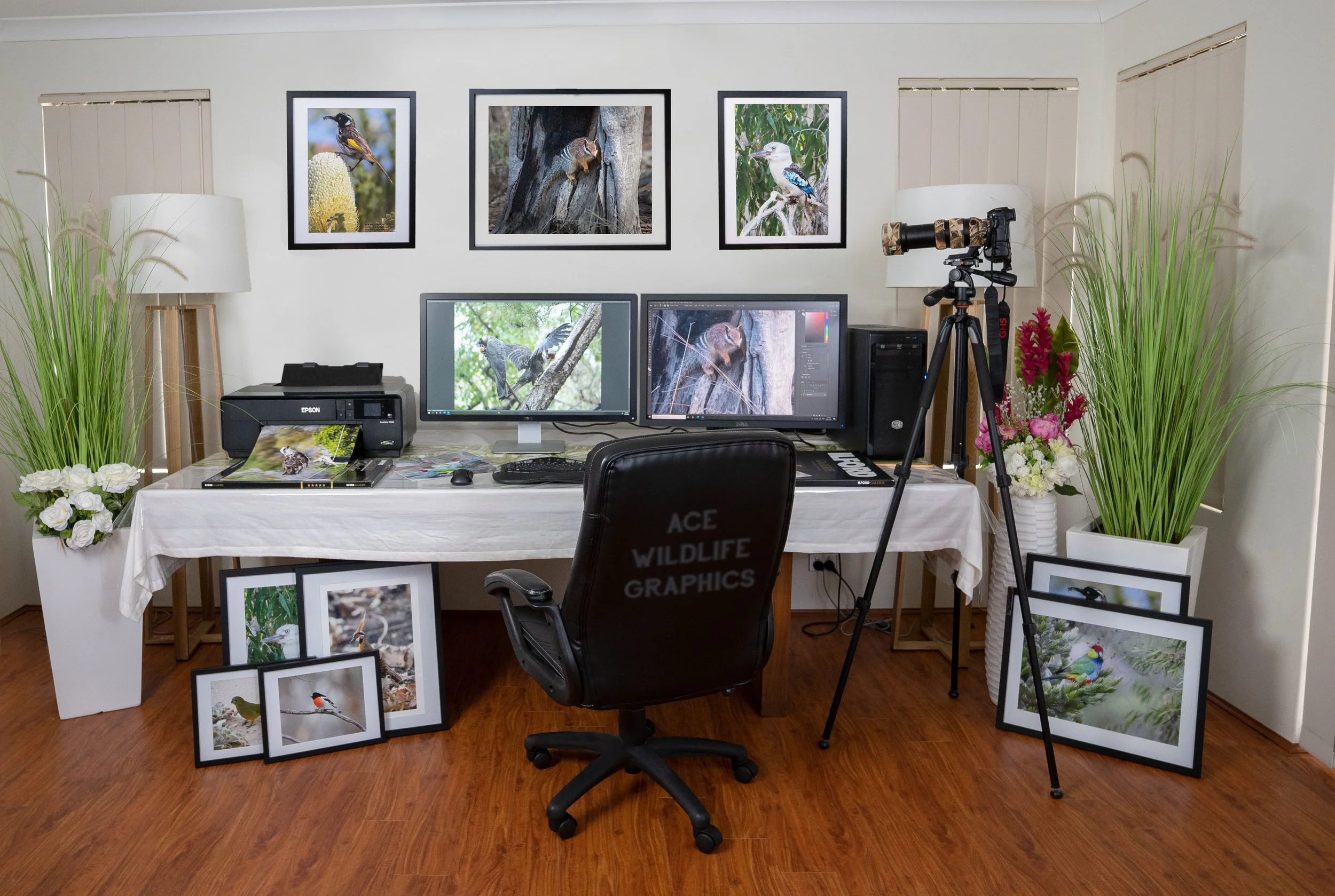 A home office with wildlife photography on the wall, featuring birds and a squirrel. The desk has two monitors displaying bird images, surrounded by framed photos on the floor. There is a camera with a large lens on a tripod, a telescope, and two white lamps on either side of the wall. Green plants and flowers decorate the space, and a black chair with 'ACE WILDLIFE GRAPHICS' printed on the back is at the desk.