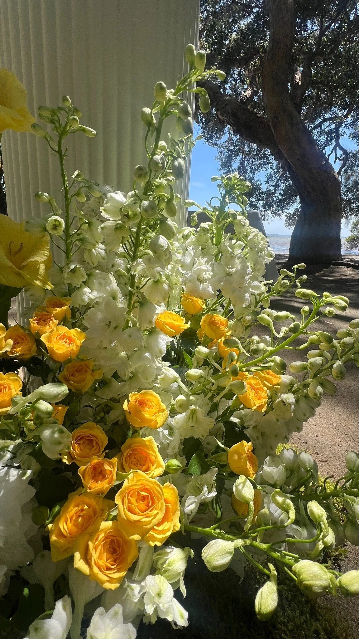 Bloom 2.jpg