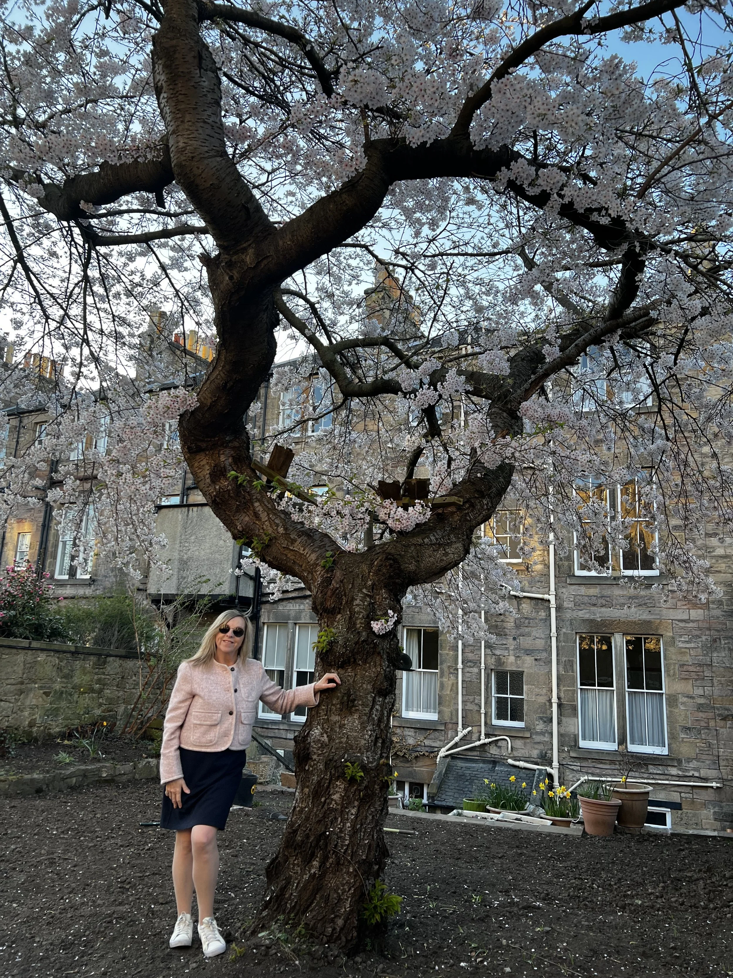 Susan McIntosh beneath cherry blossom in Edinburgh.