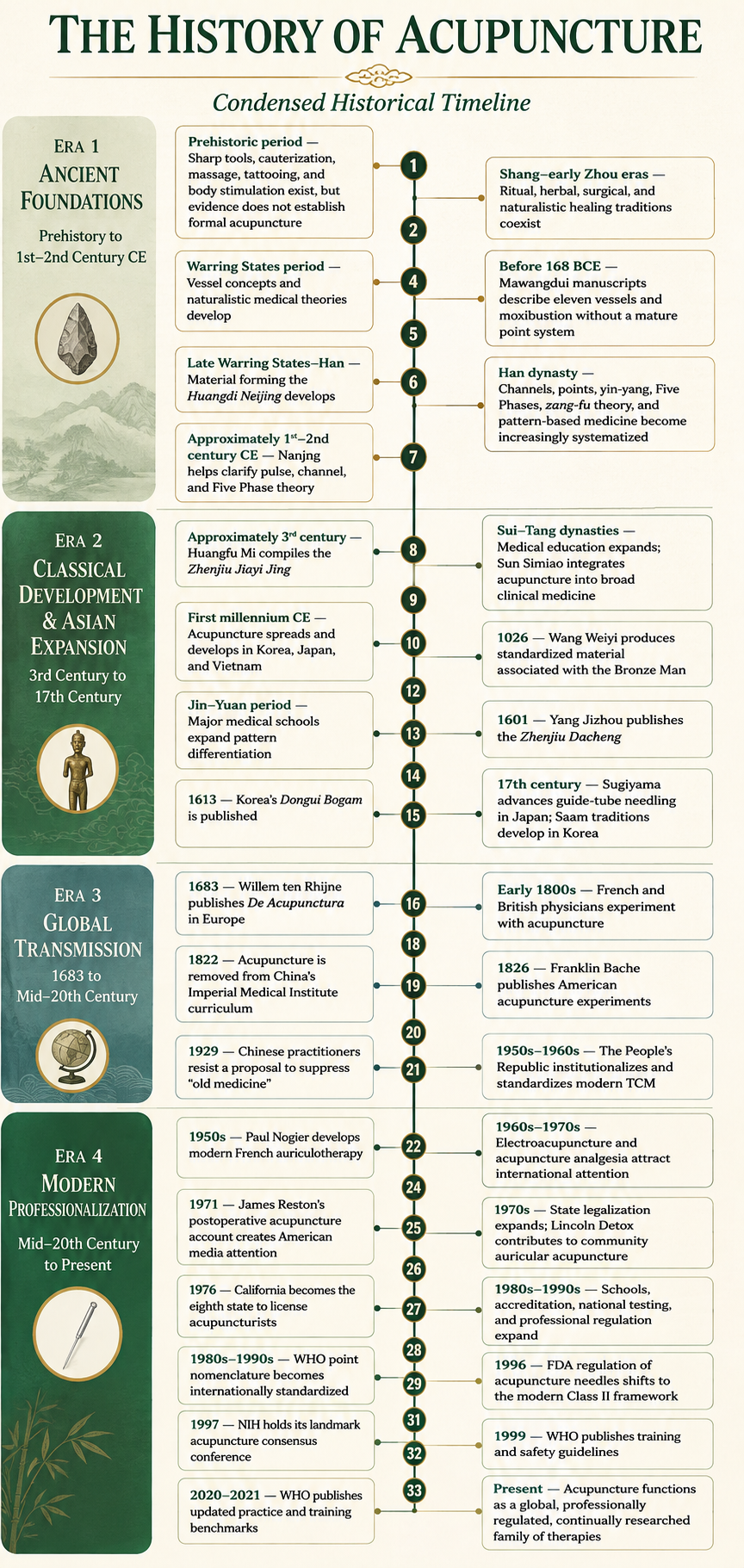 A timeline infographic titled 'The History of Acupuncture' showing epochs from ancient foundations to modern professionalization, with annotations about key periods, figures, and developments in acupuncture.