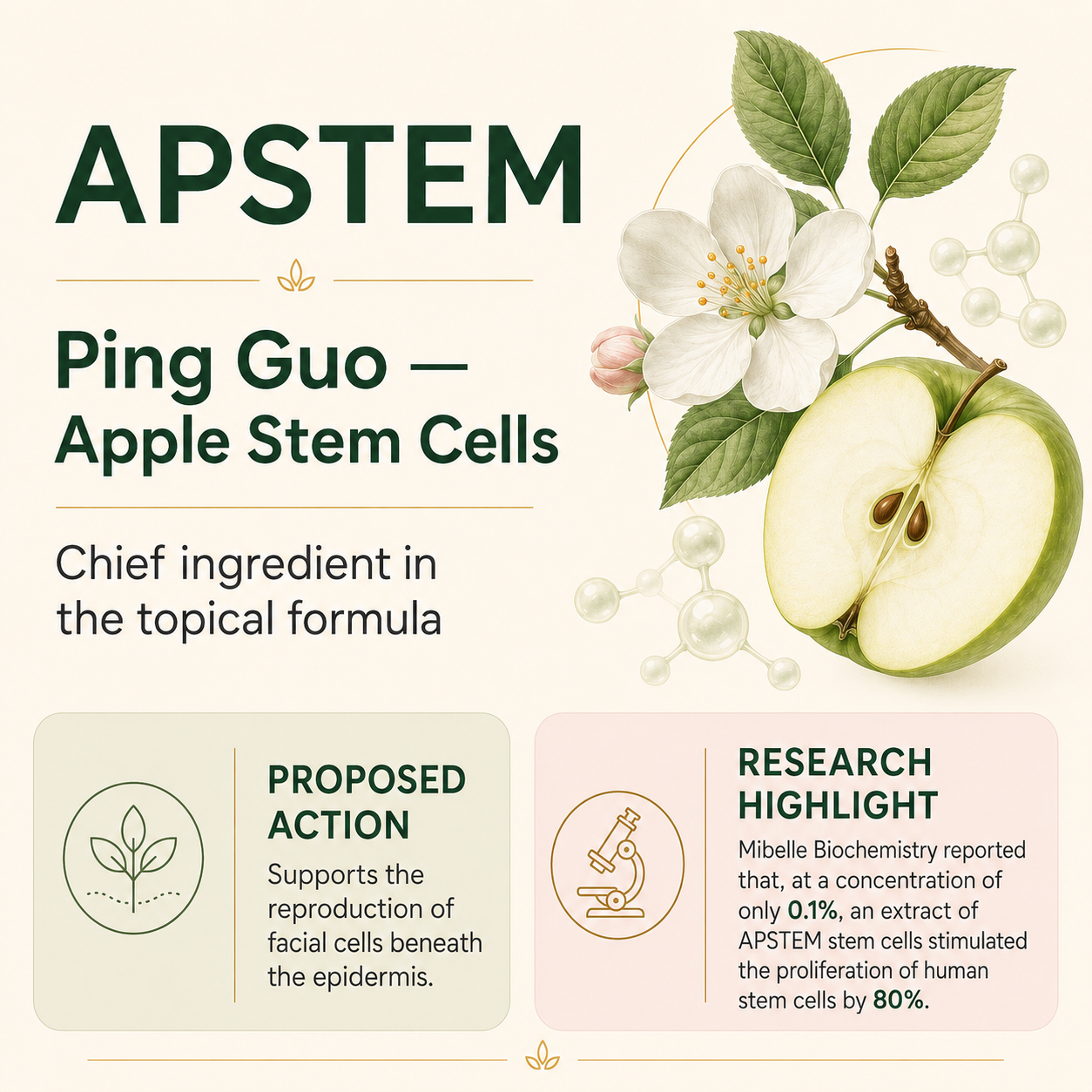 Information about APSTEM and Ping Guo Apple Stem Cells, including a diagram of an apple, flowers, molecular structures, and sections on proposed action and research highlights.