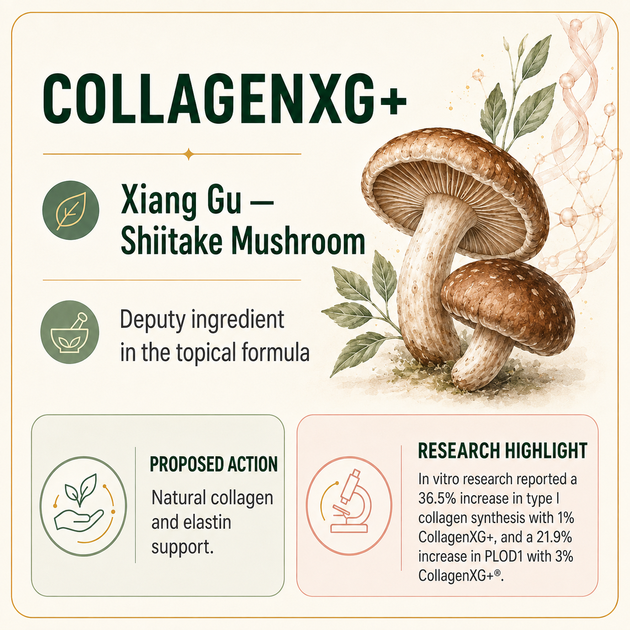A nutrition label and illustration of Shiitake mushrooms promoting CollagenXG+ supplement, highlighting ingredients, actions, and research findings.