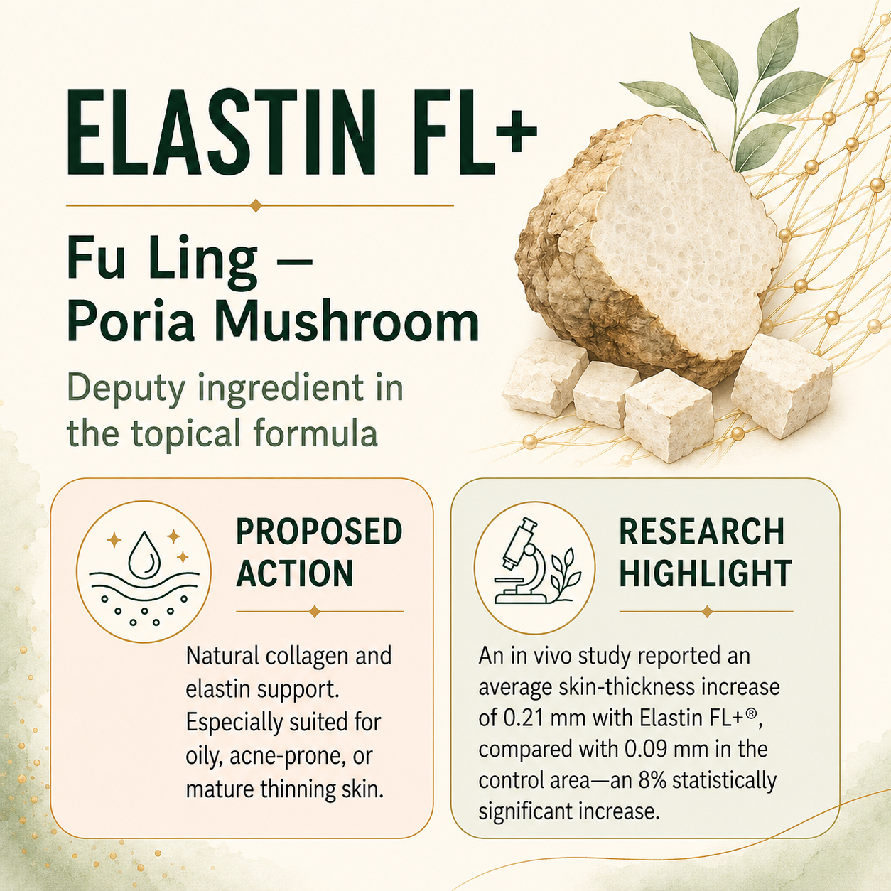A product label for Elastin FL+ with Fu Ling and Poria Mushroom, highlighting its role as a deputy ingredient in topical skin formulas, featuring an illustration of a mushroom, leaves, and scientific research findings.