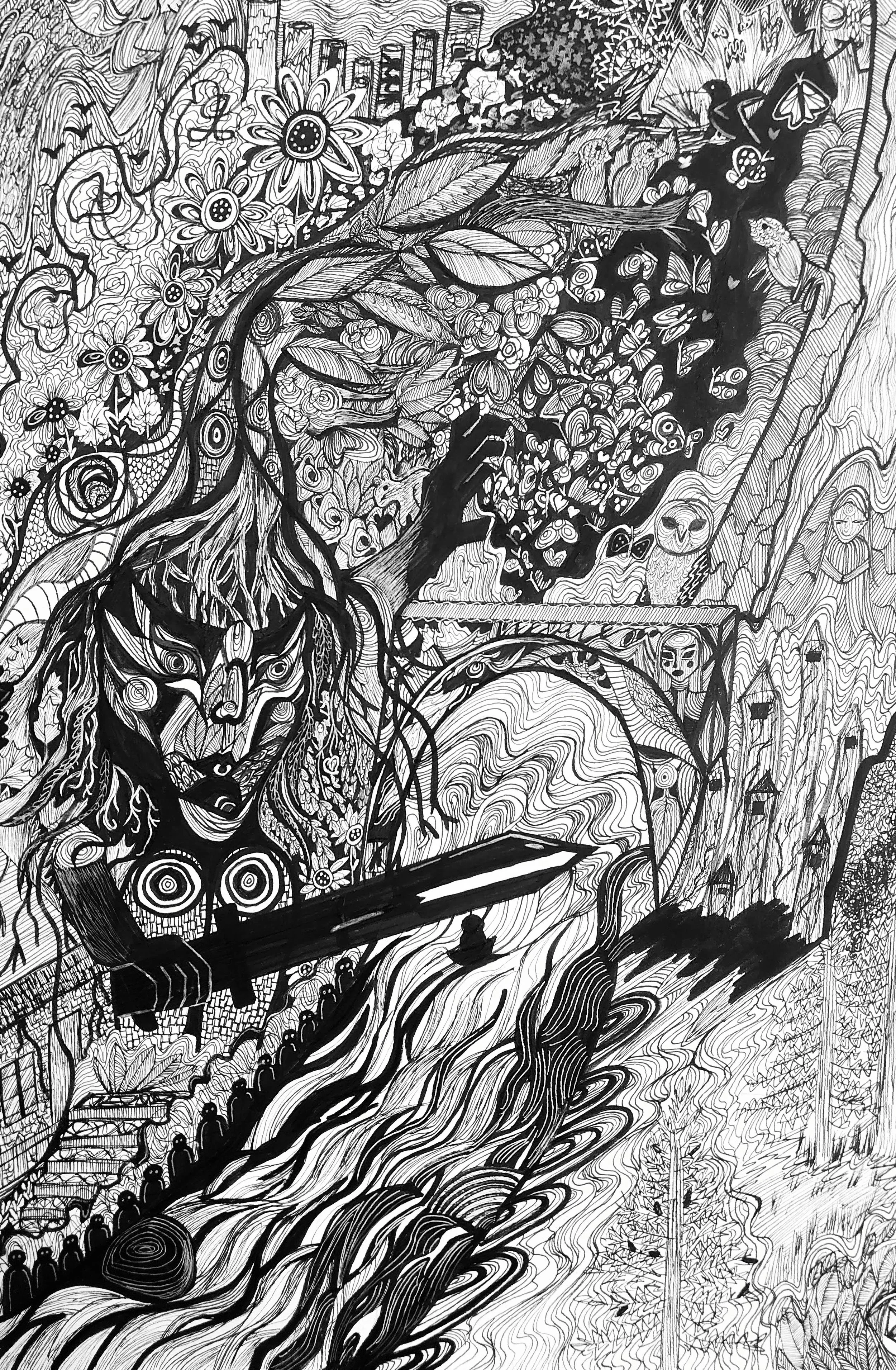 Illustrations