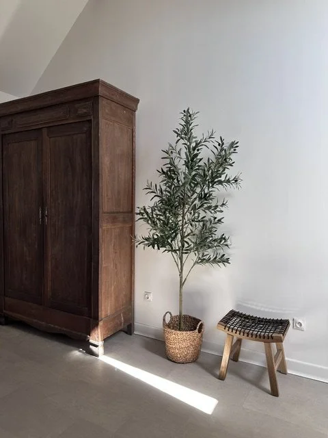 Dans le loft le Perchoir un arbre en pot, un meuble en bois ancien, une petite banquette en bois à caillebotis, dans une pièce avec mur blanc et sol en bois clair.