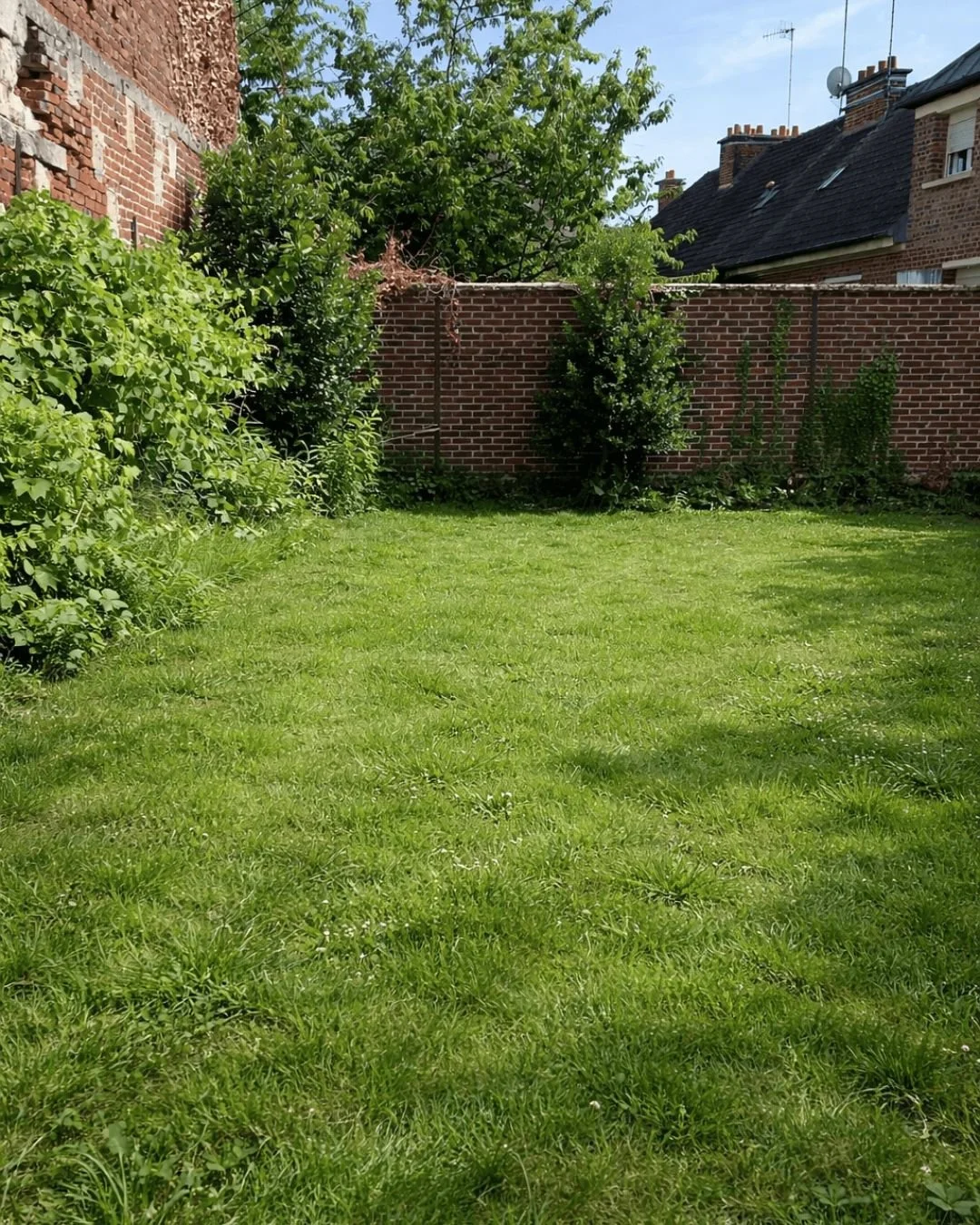 jardin maison tourterelle