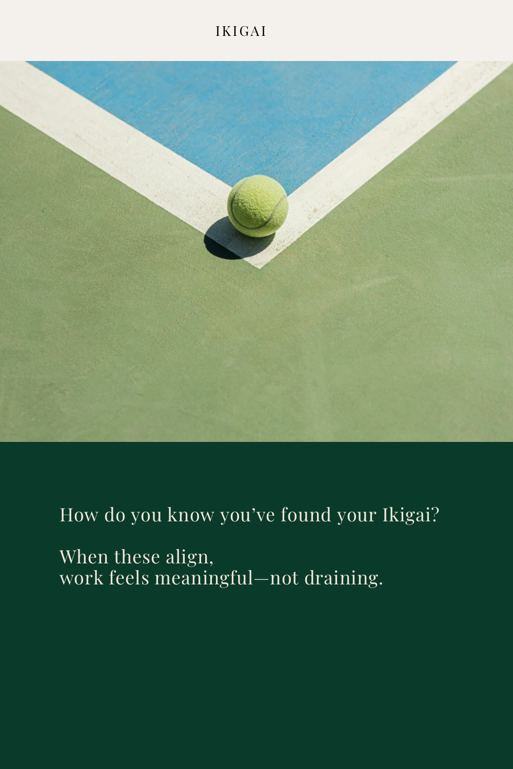 IMG_0895.PNG