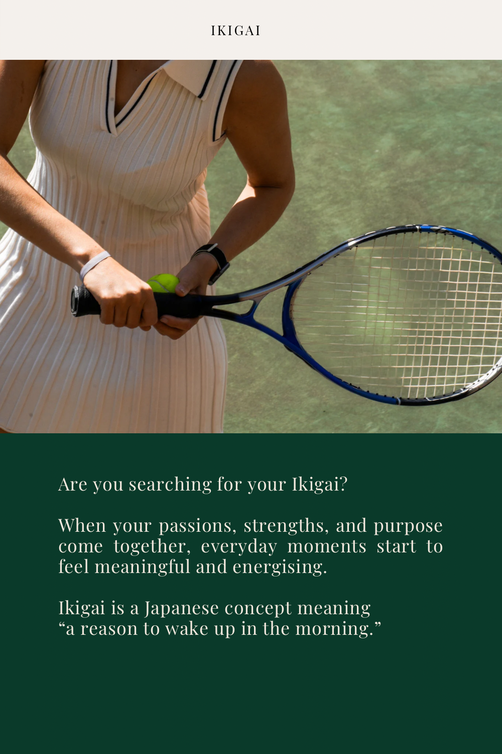 IMG_0892.PNG