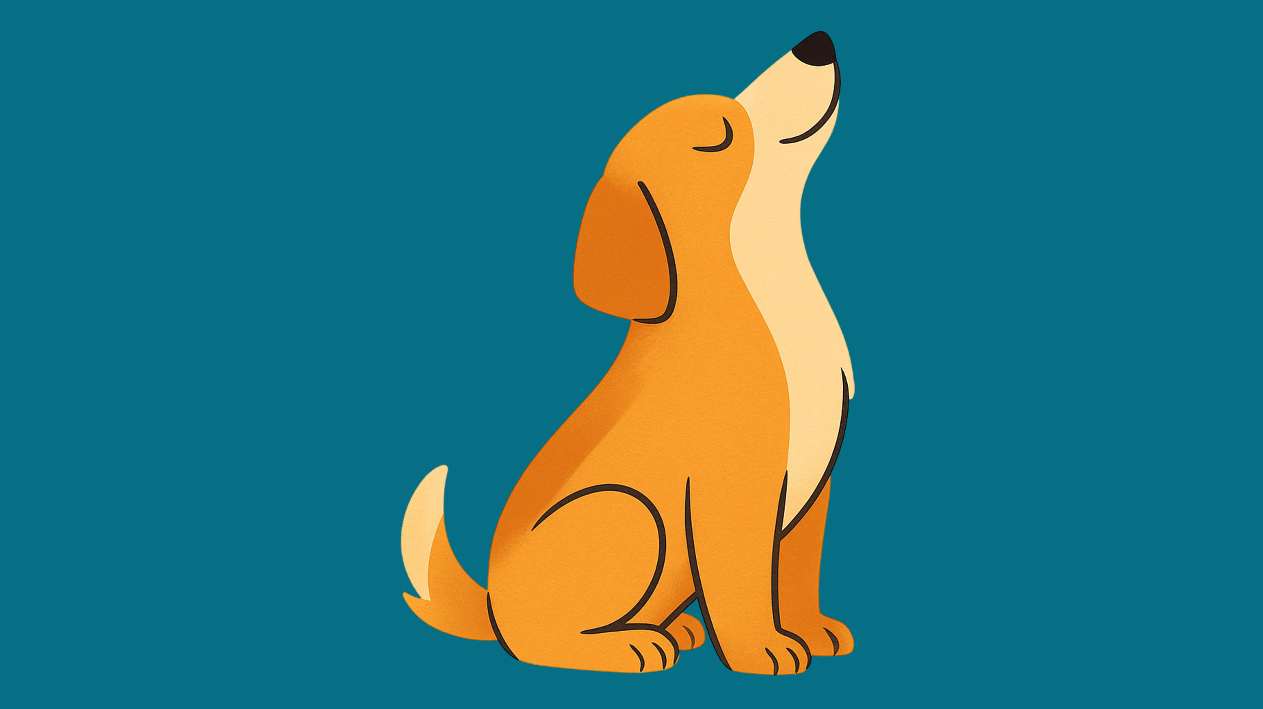 About Pawtopia