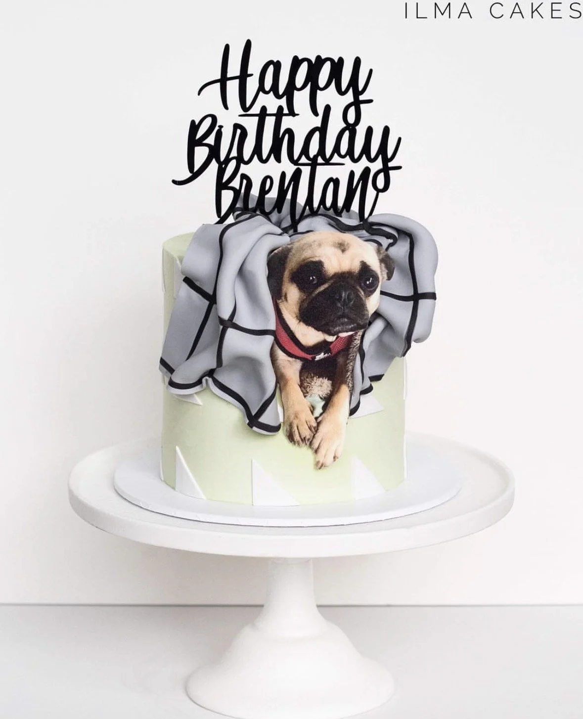 A birthday cake with a French Bulldog emerging from it, decorated with a black and white scarf and a 'Happy Birthday Brentano' topper on a white cake stand.