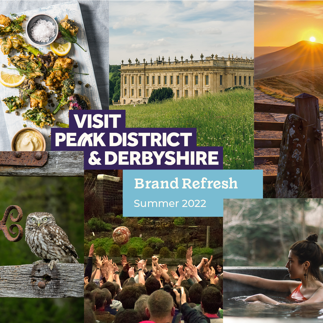 VPDD website - new.png