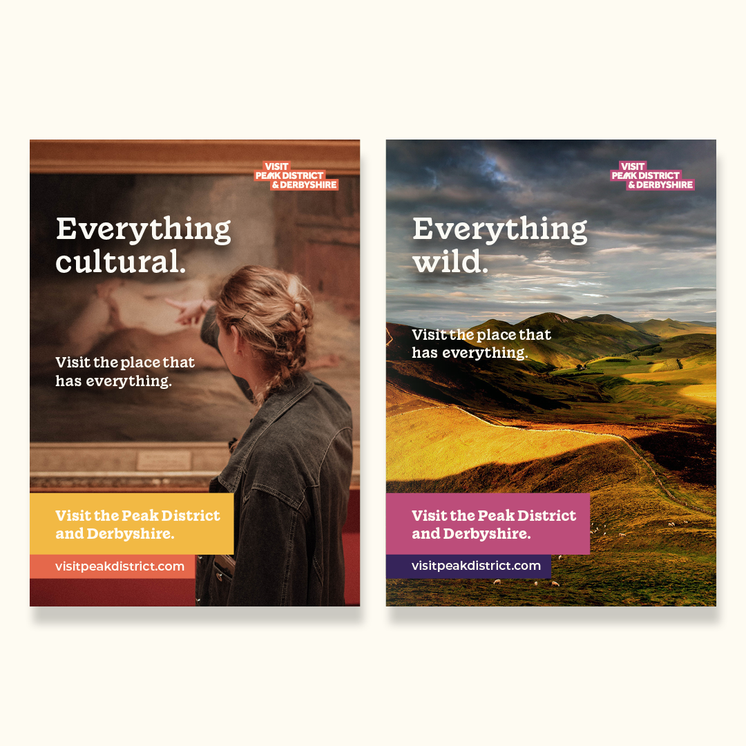 VPDD website - new8.png