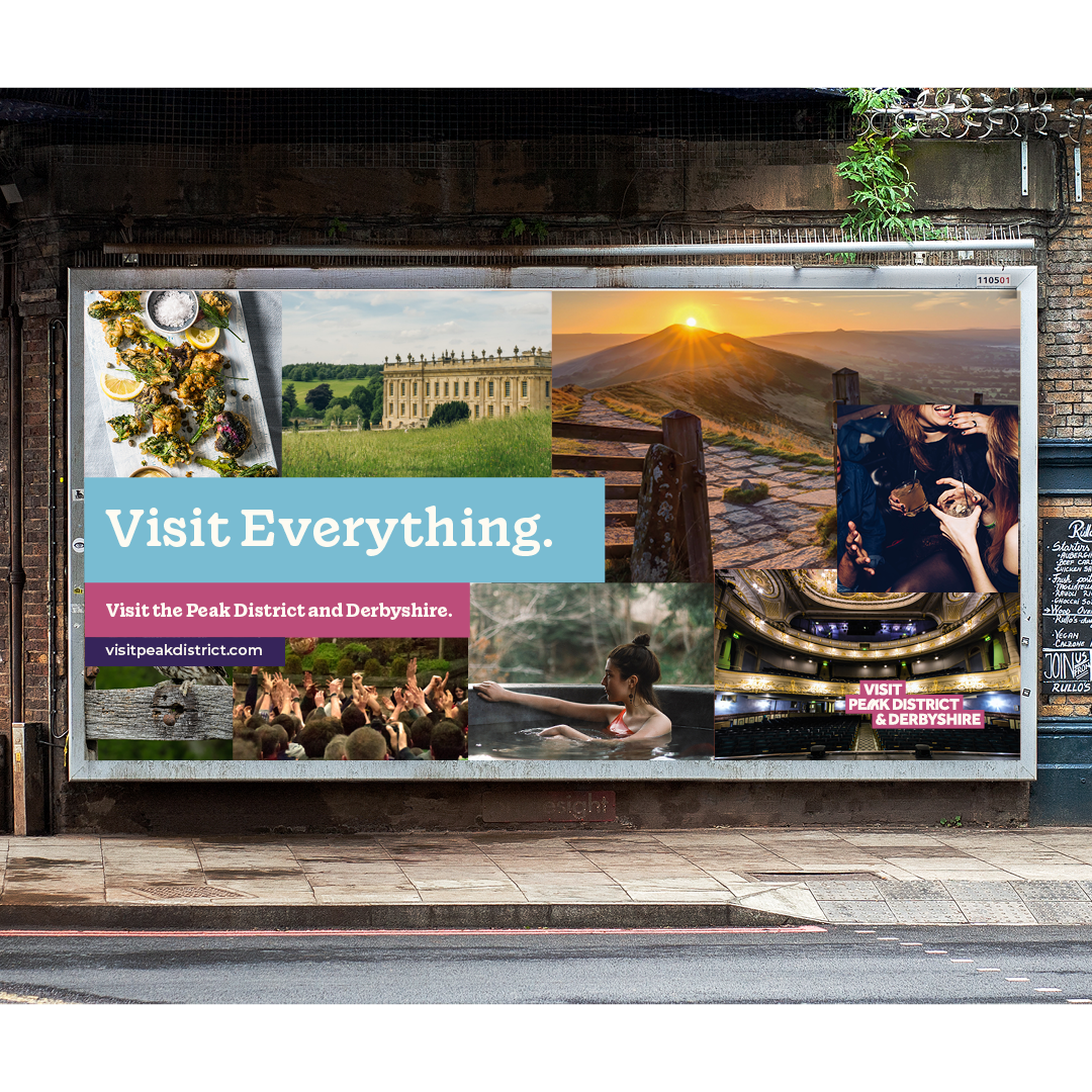 VPDD website - new9.png