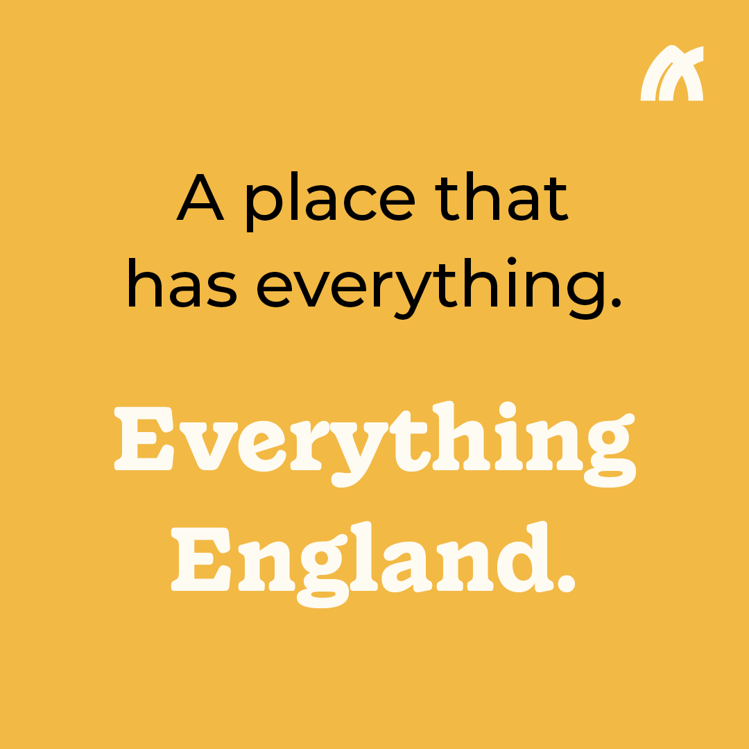 VPDD website - new4.png