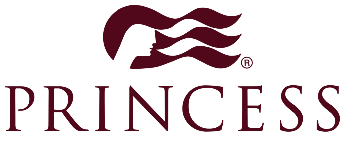 Logo with silhouette of a woman's profile with flowing hair and the word "PRINCESS" below.