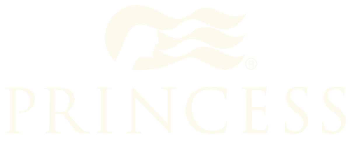 A black and white logo featuring a stylized profile of a princess with flowing hair above the word "PRINCESS" in large letters.