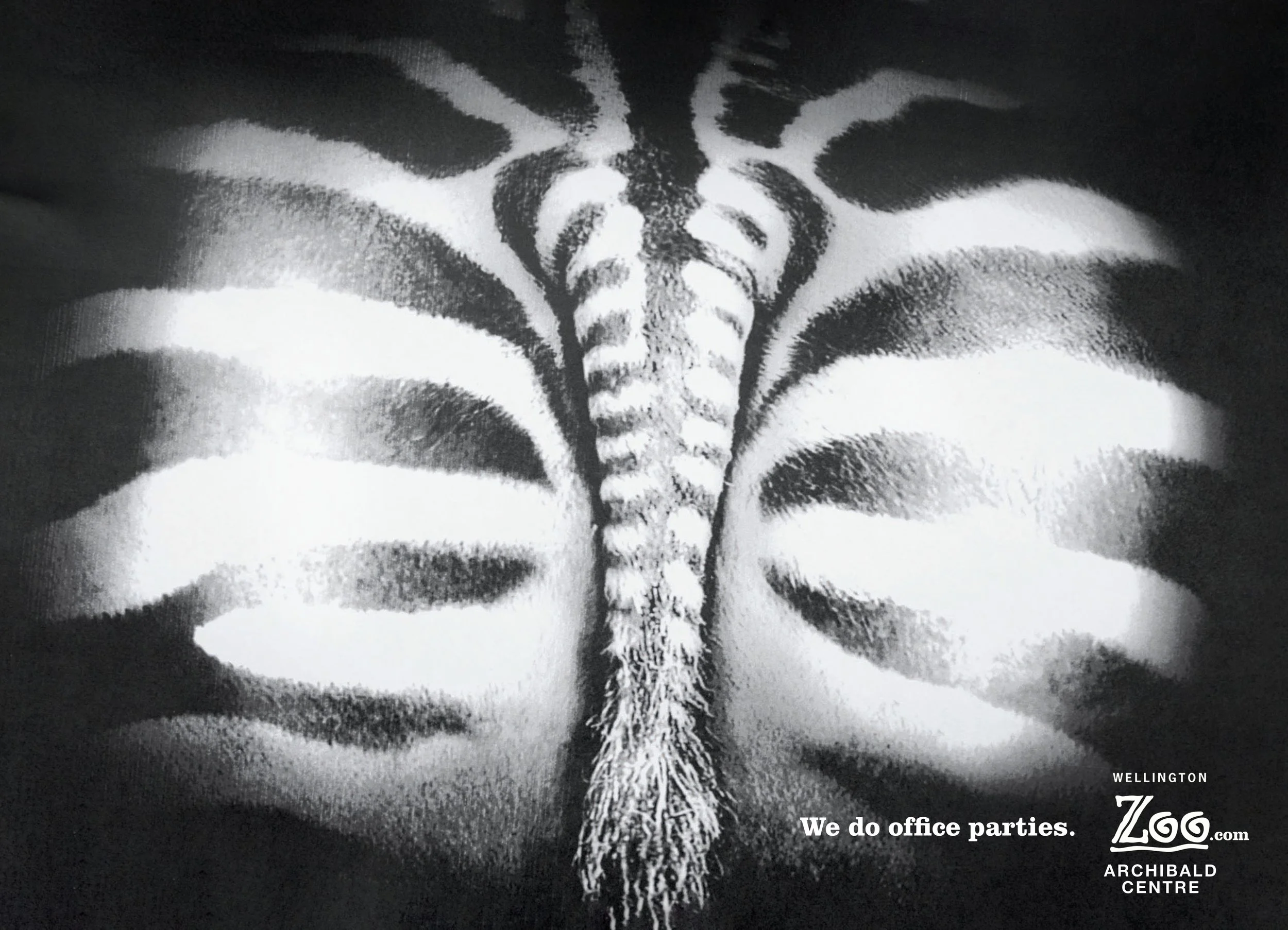 kate catalinac katecatalinac ad advertising campaign idea cannes lions wellington zoo archibald events center zebra butt behind photocopier tail photocopy ass wild posting bow we do office parties