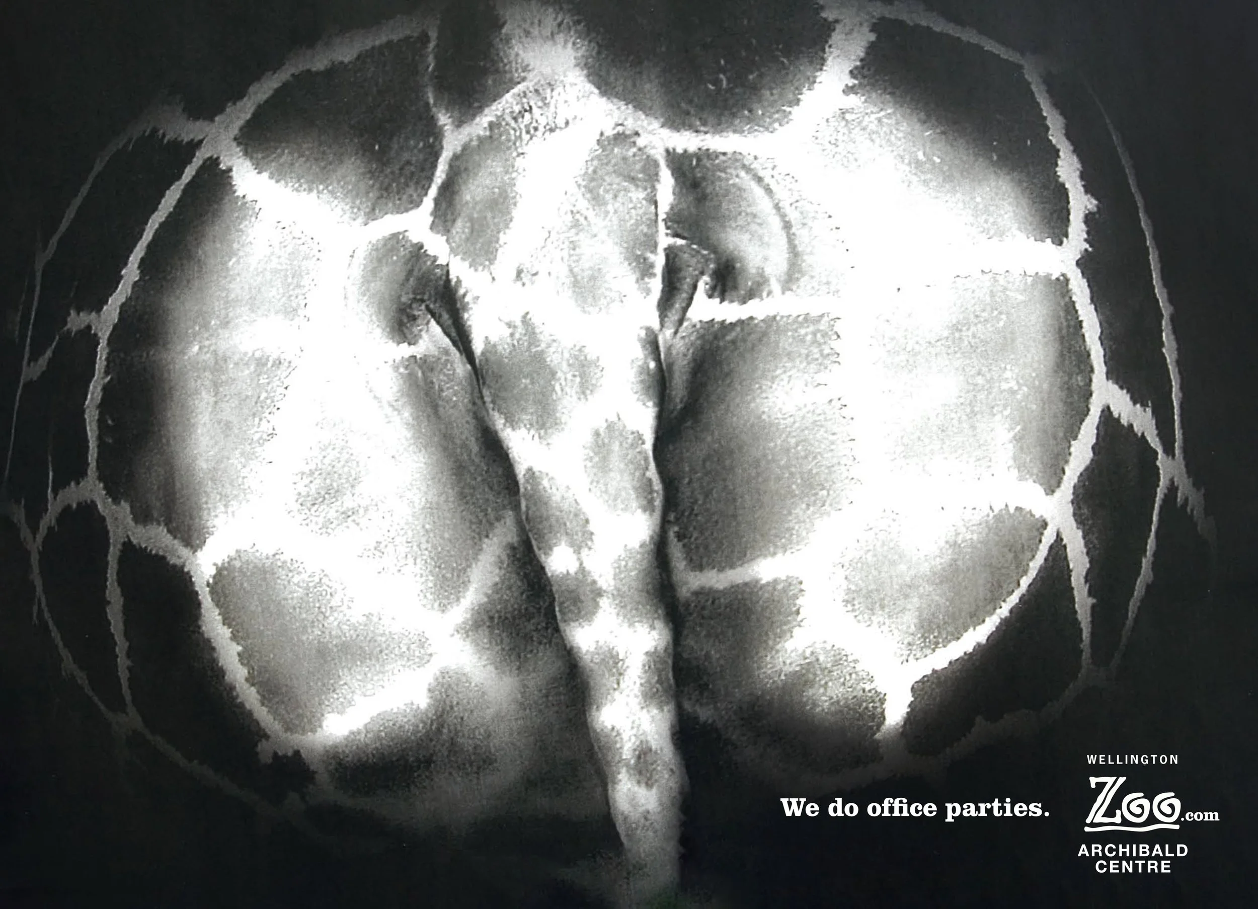 kate catalinac katecatalinac ad advertising campaign idea cannes lions wellington zoo archibald events center giraffe butt behind photocopier tail photocopy ass wild posting bow we do office parties