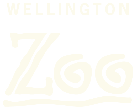 Logo with the text 'Wellington ZLog' in stylized font on a black background.