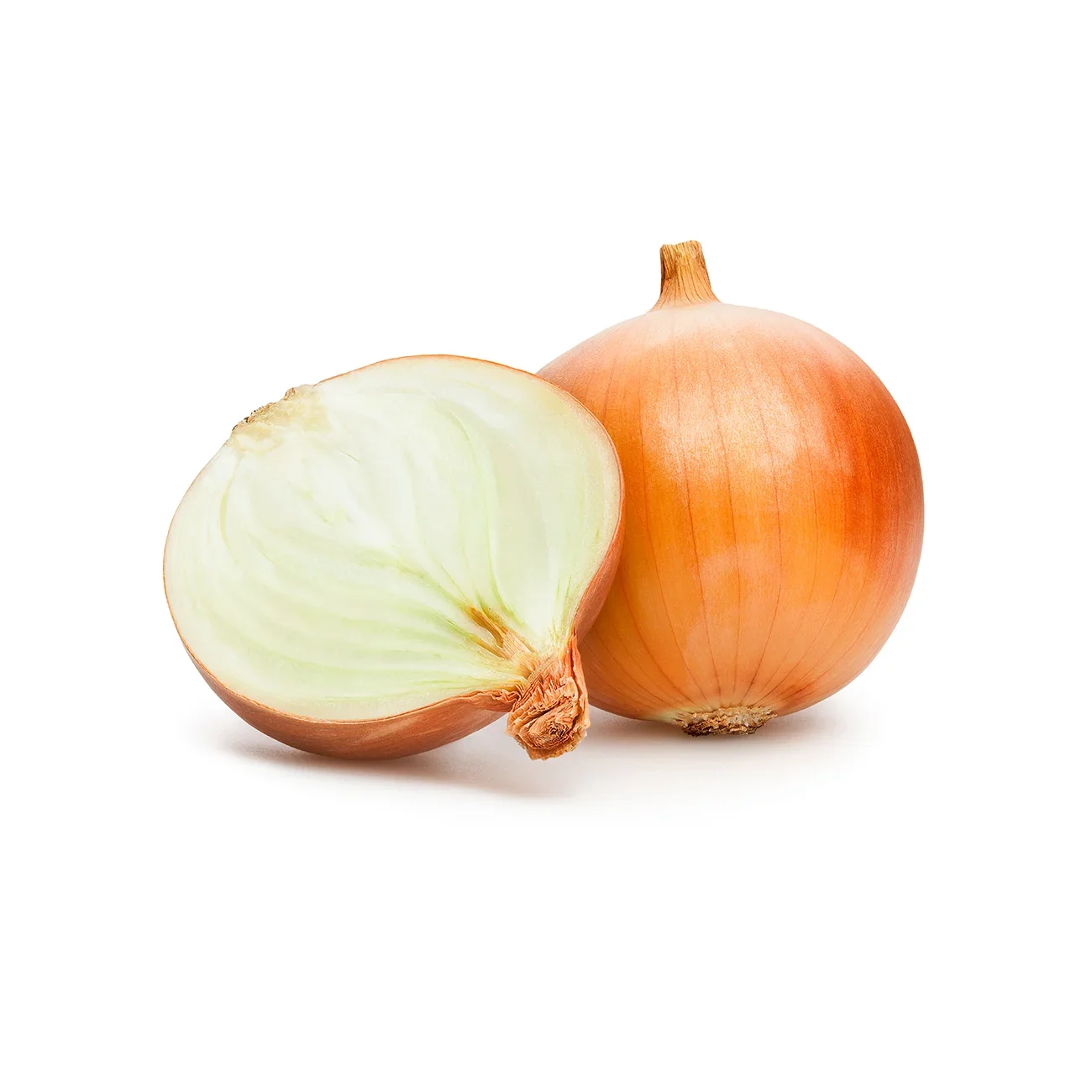 YELLOW ONION