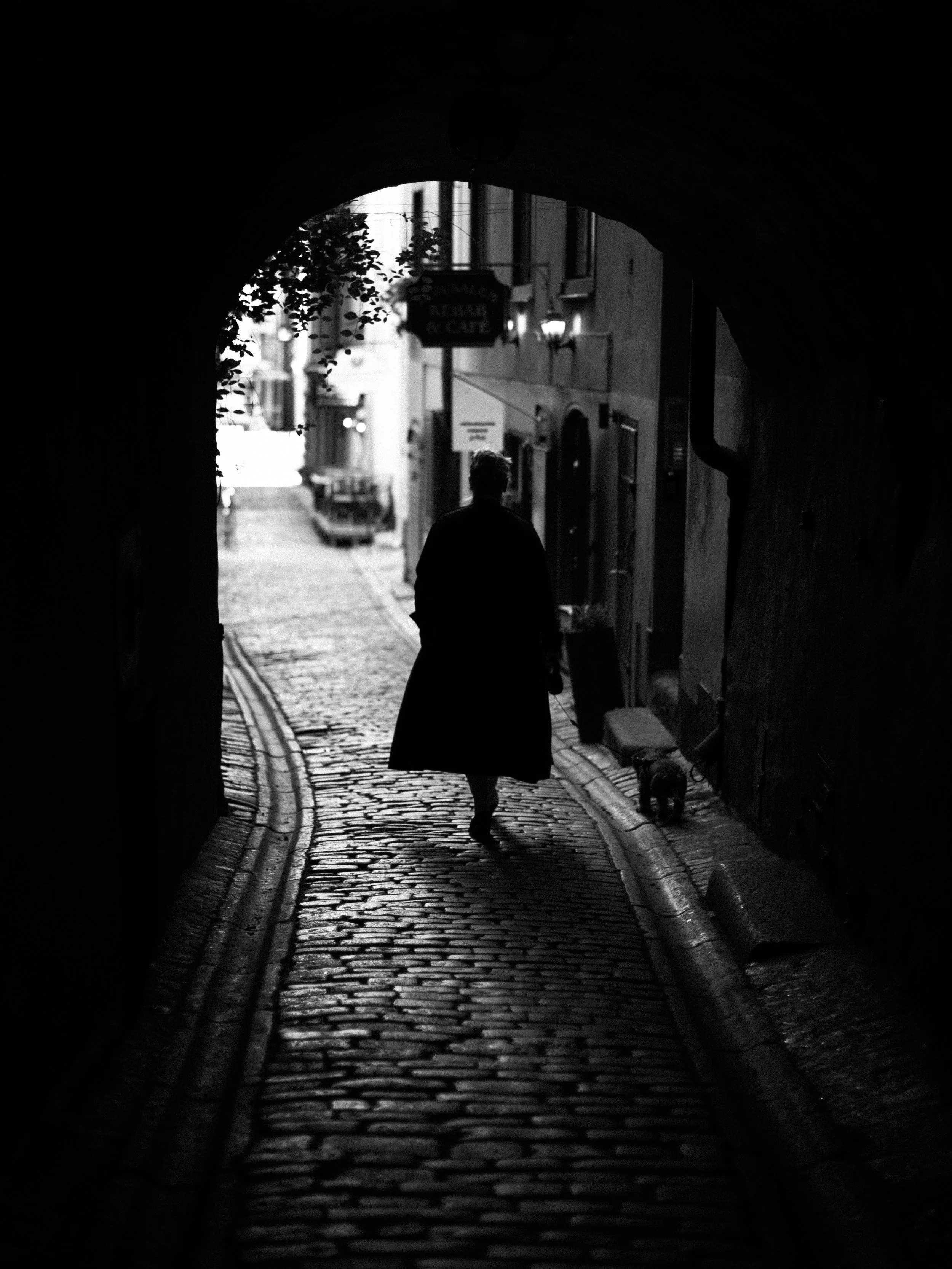 A person walking a dog through a dark tunnel onto a cobblestone street in an urban area, with buildings and streetlights visible in the distance.