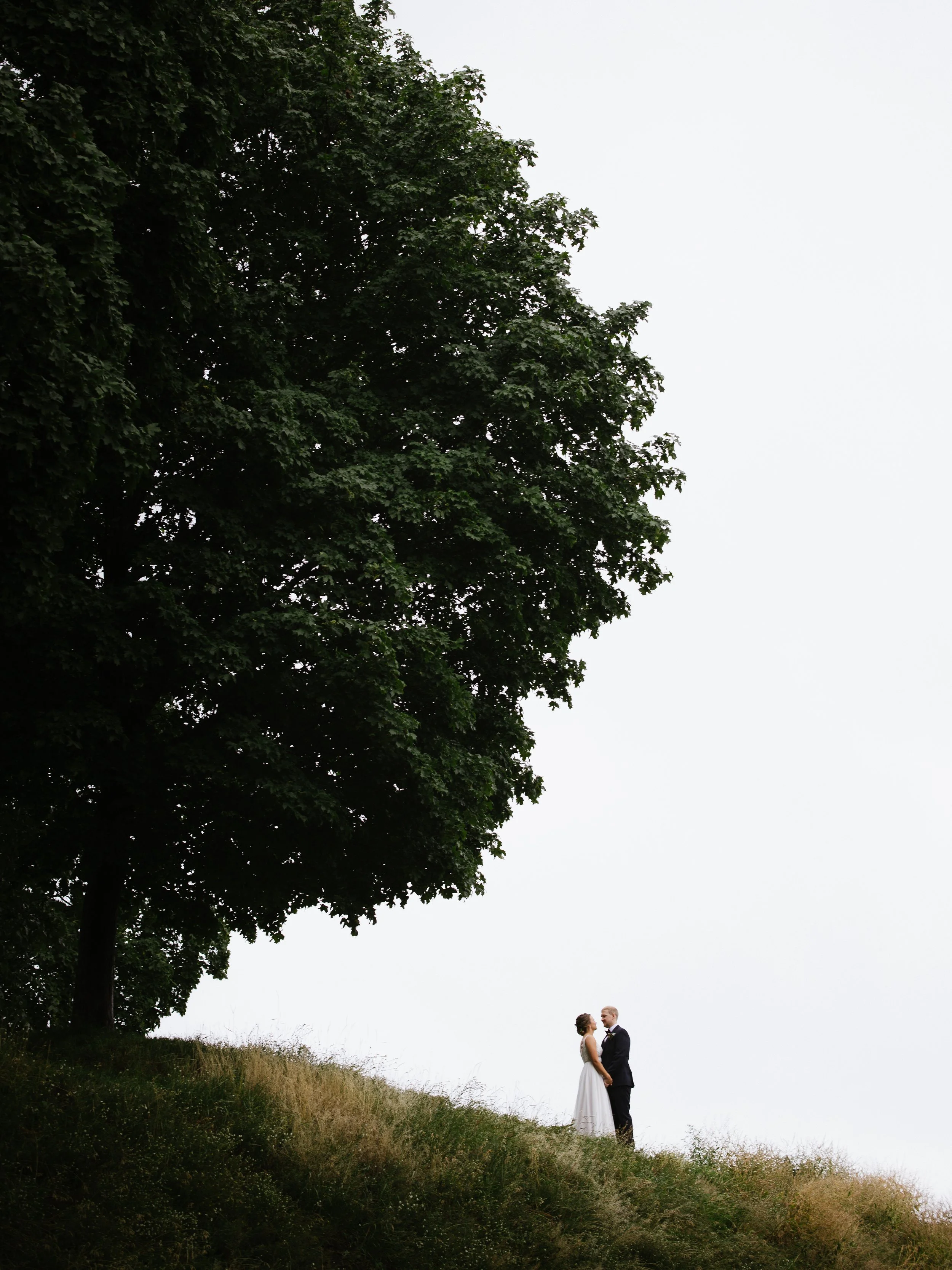 A bride and groom standing together on a grassy hill underneath a large leafy tree on the left side of the image, with a vast, open, cloudy sky in the background.