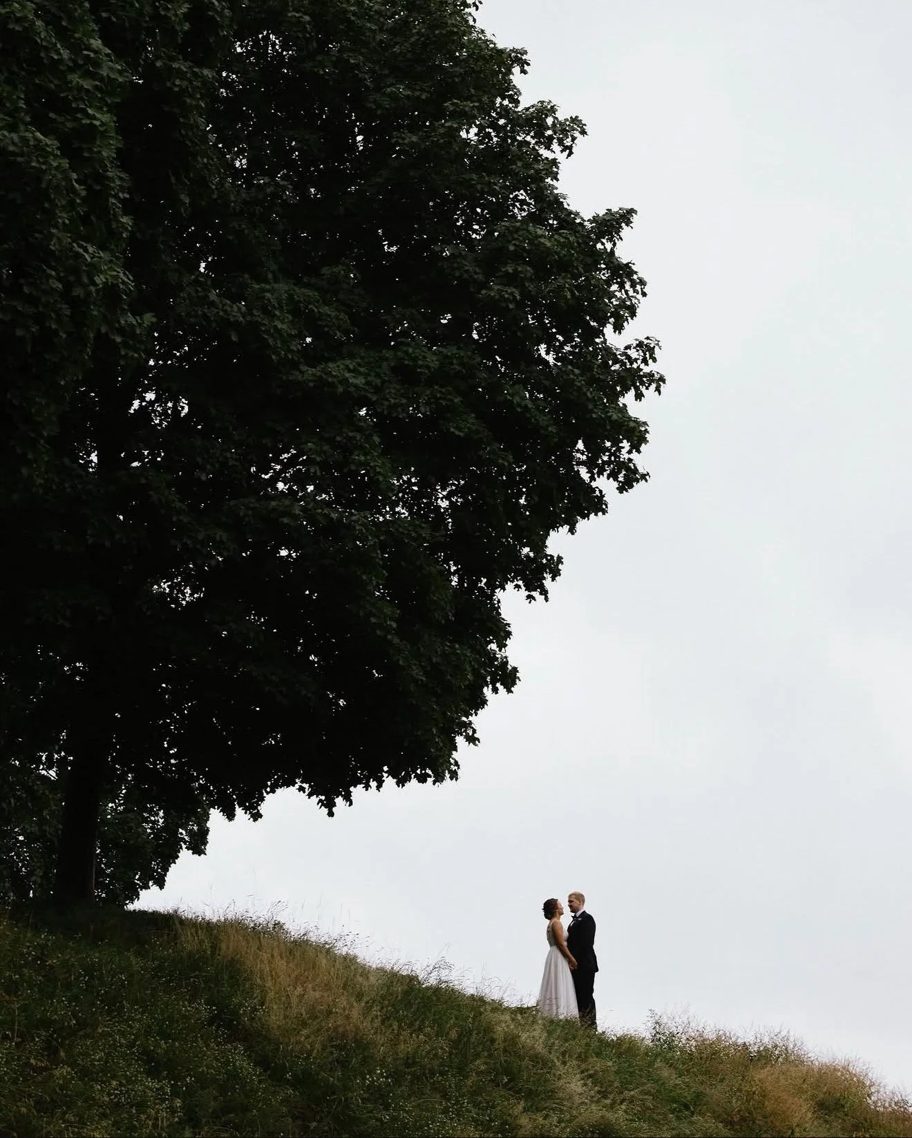 A bride and groom standing on a grassy hill under a large leafy tree, with a cloudy sky in the background.