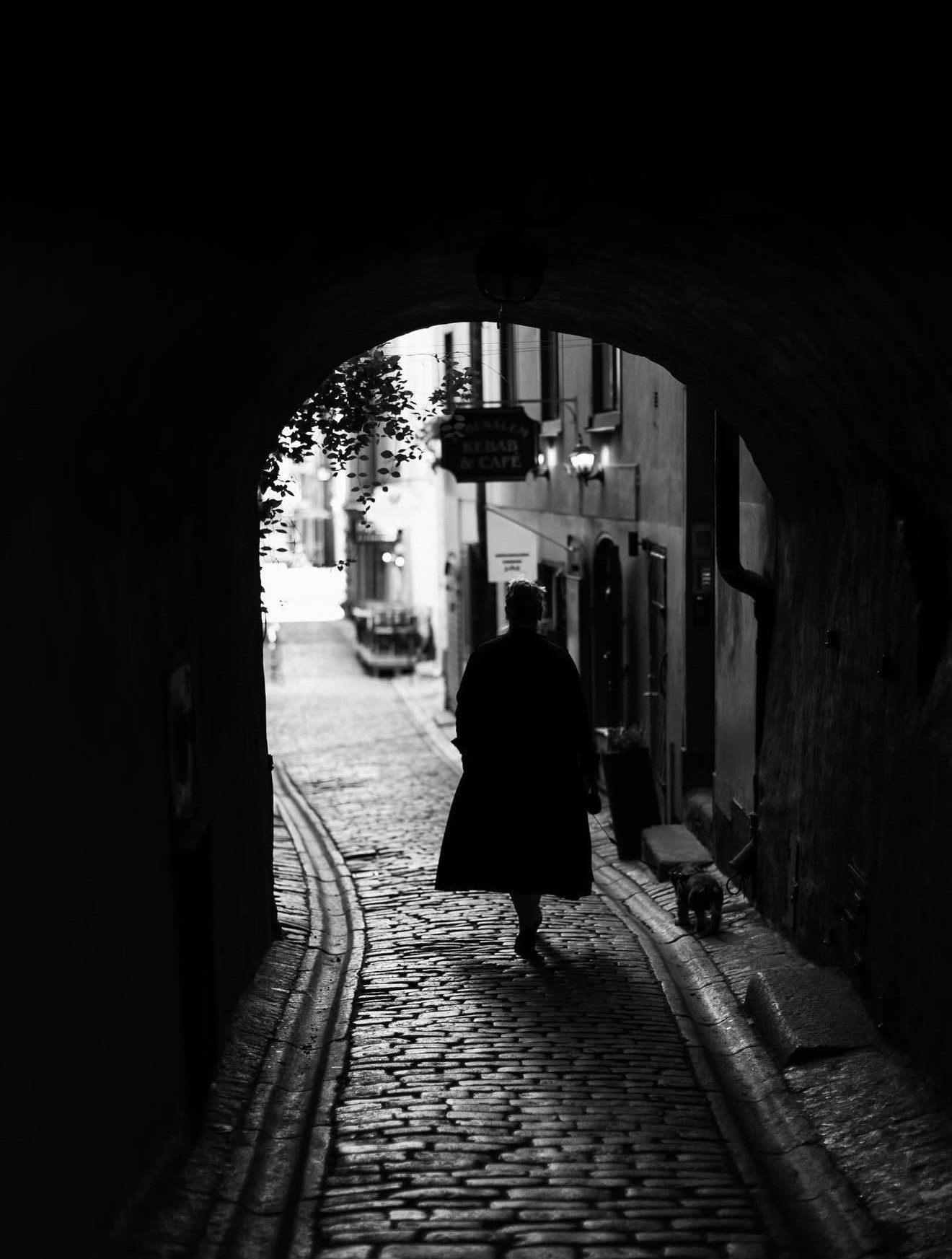 A person walking a dog through a dark, arched tunnel onto a cobblestone street lined with buildings and street lamps in daytime.