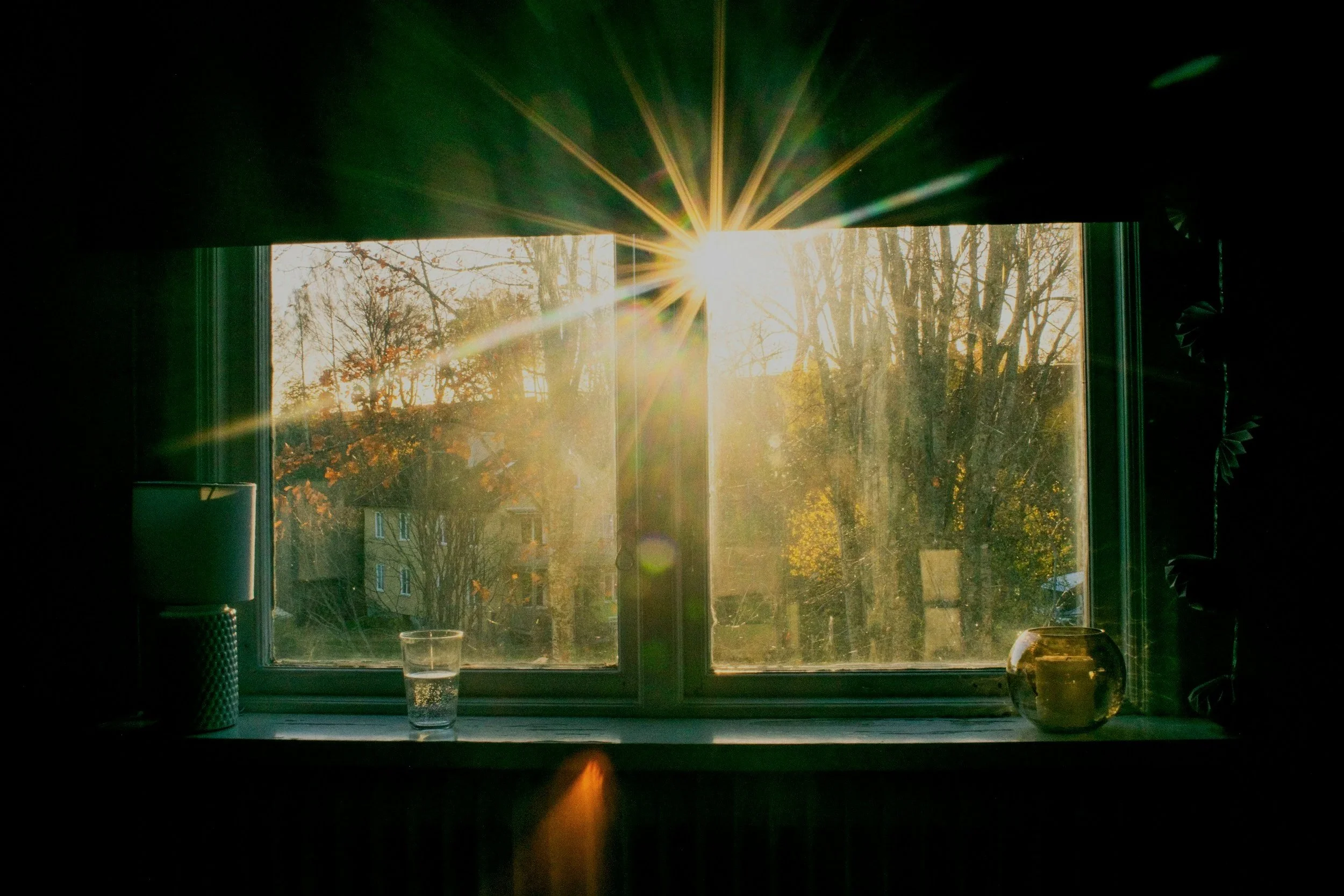 Sunlight streaming through a window, illuminating a windowsill with a houseplant, a glass of water, a jar, and other objects inside.