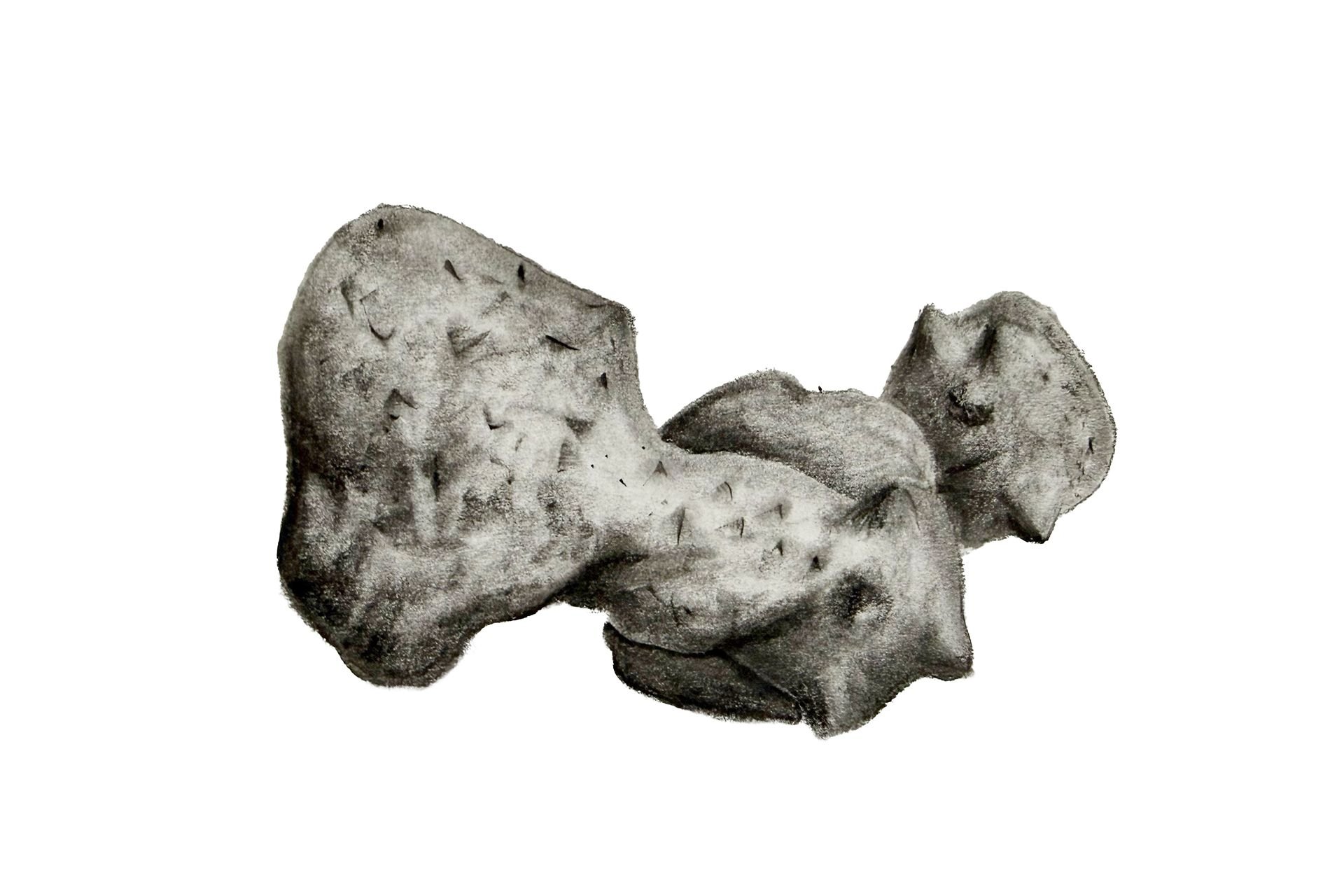 Black and white photograph of dried strawberries with textured surface and seeds visible.