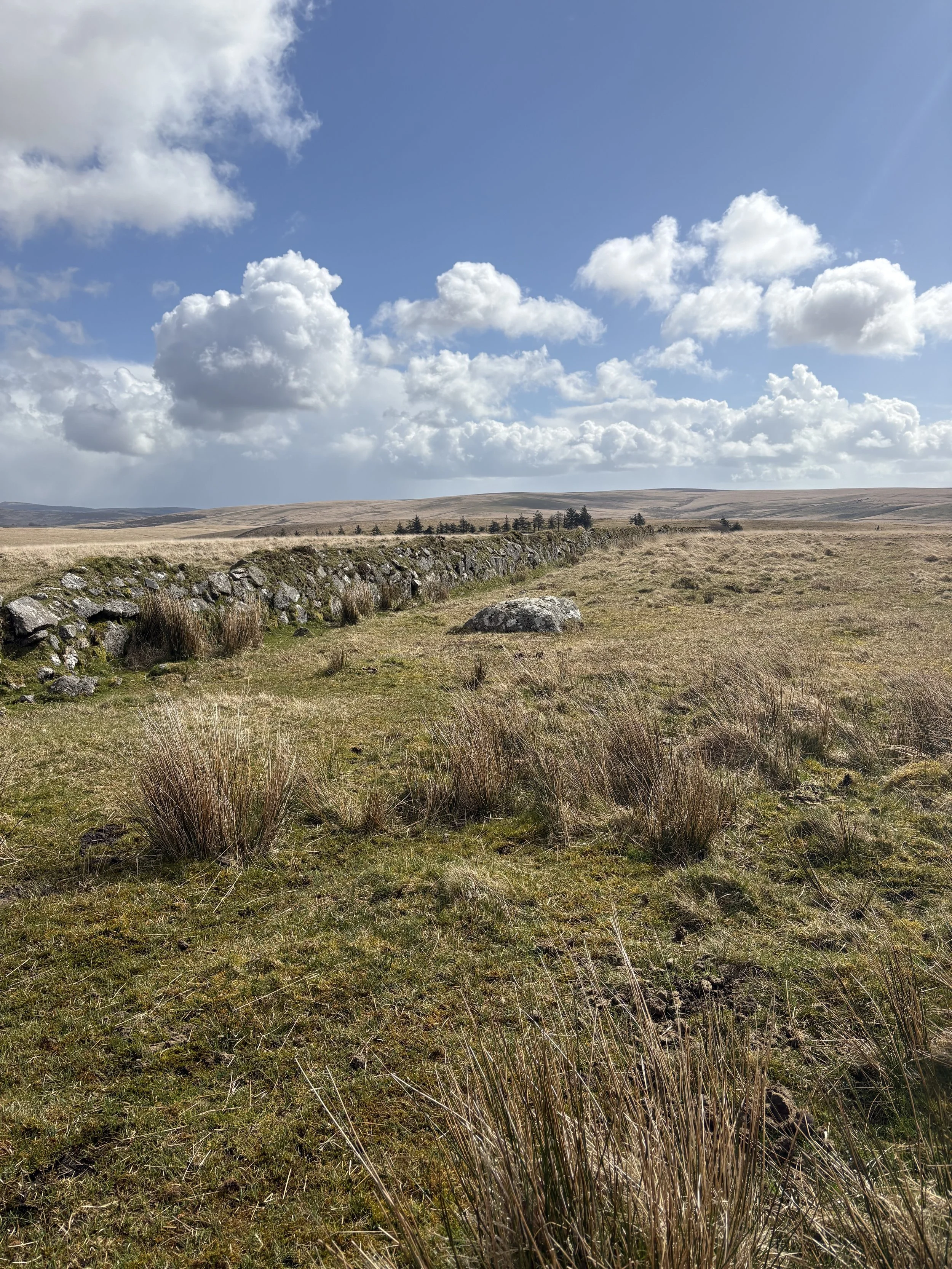 Dartmoor