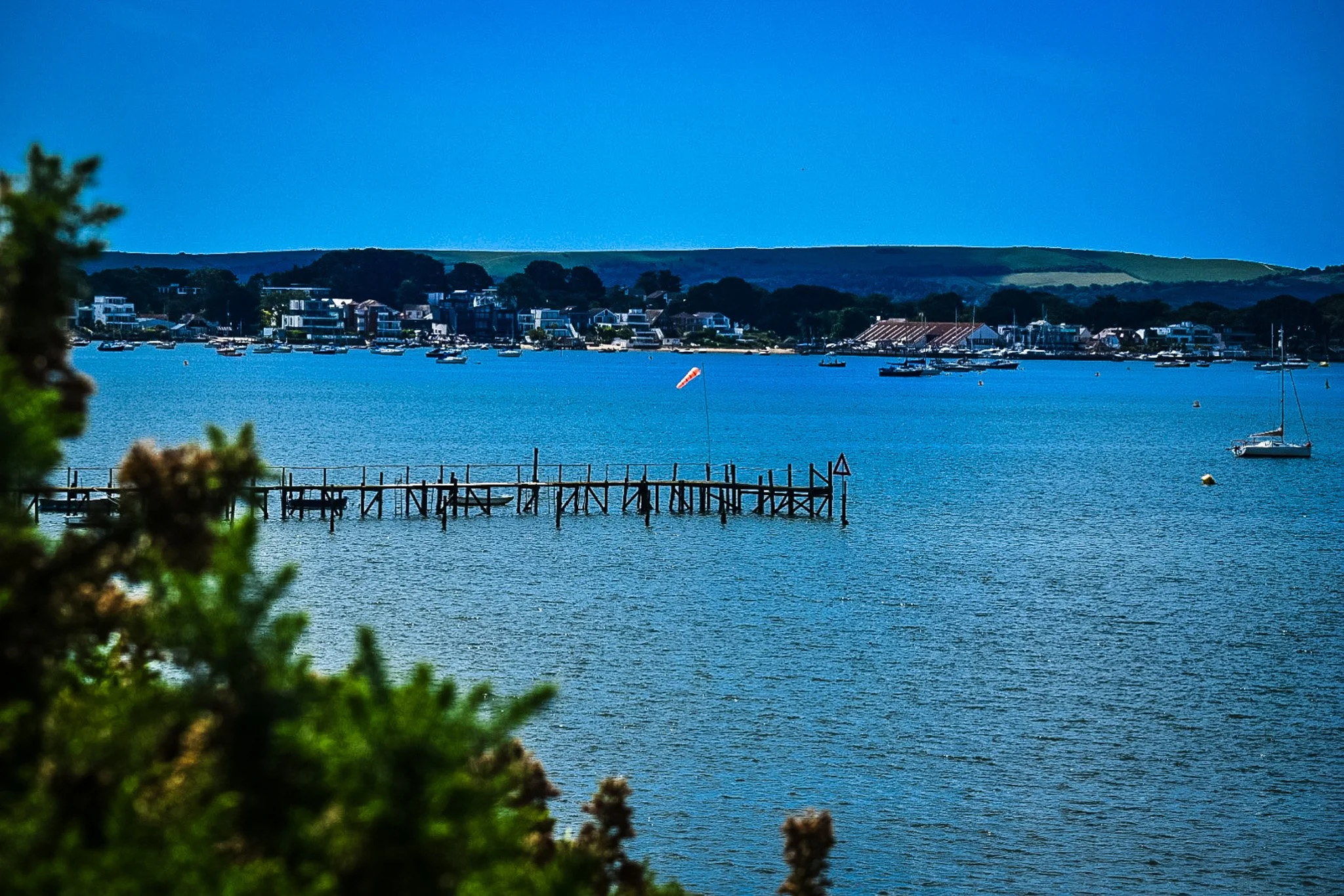 IMG_4218.jpg