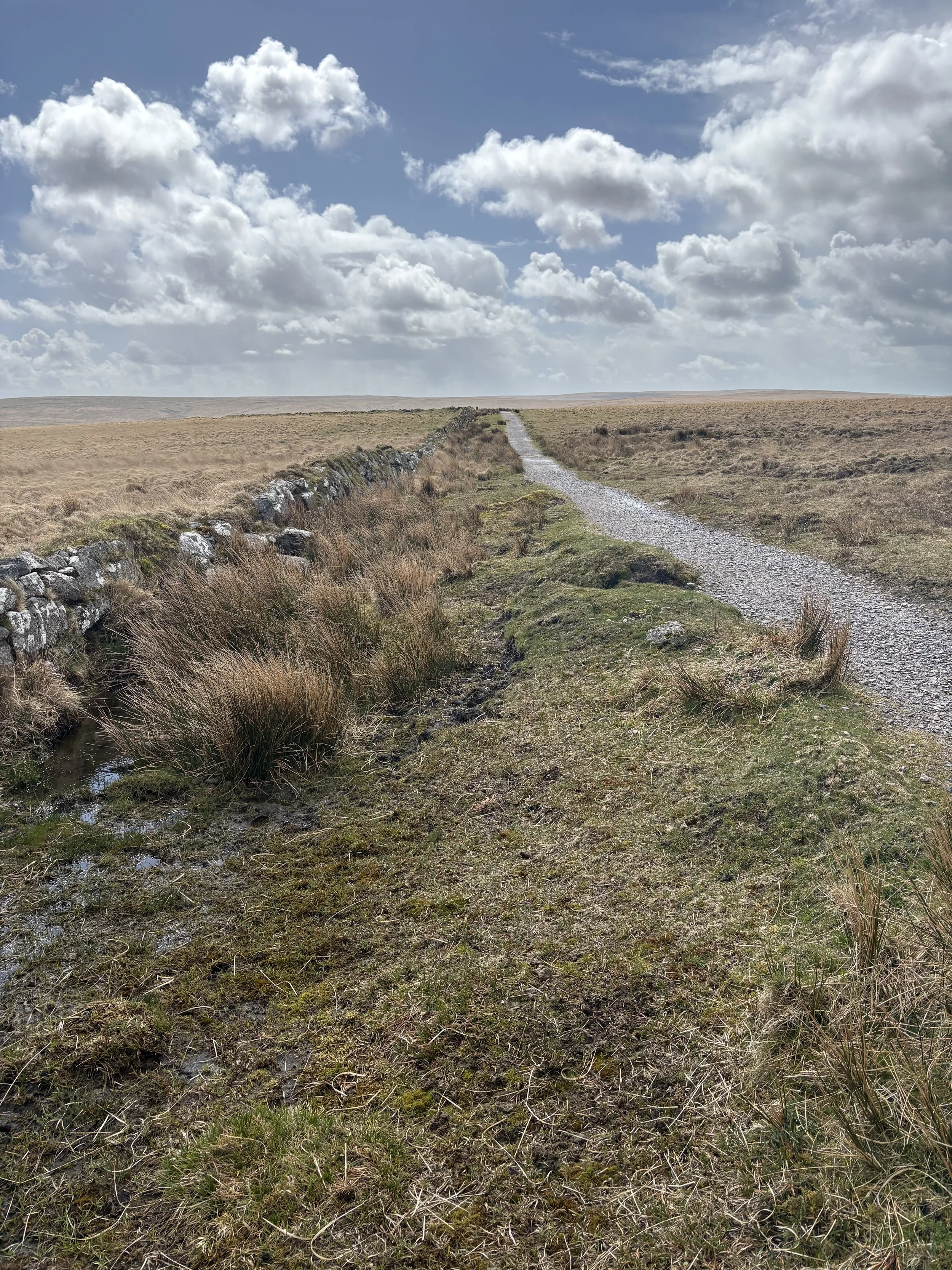 Dartmoor