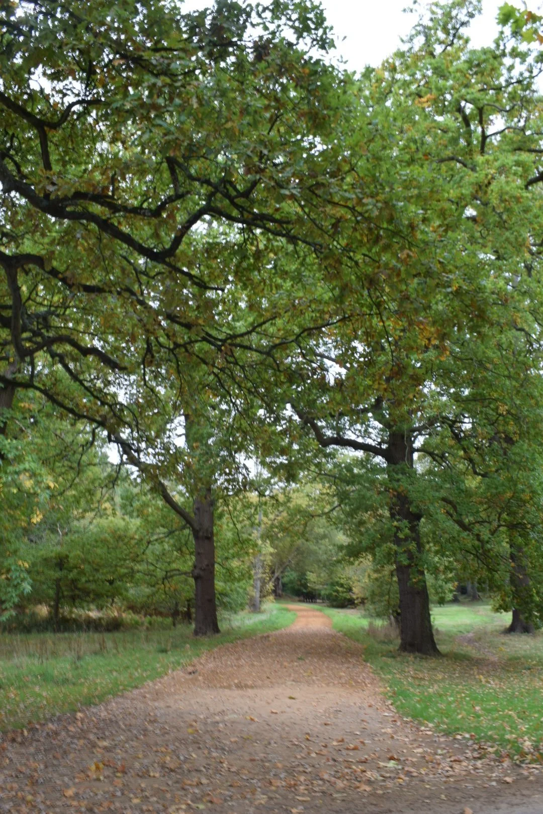 Great Park