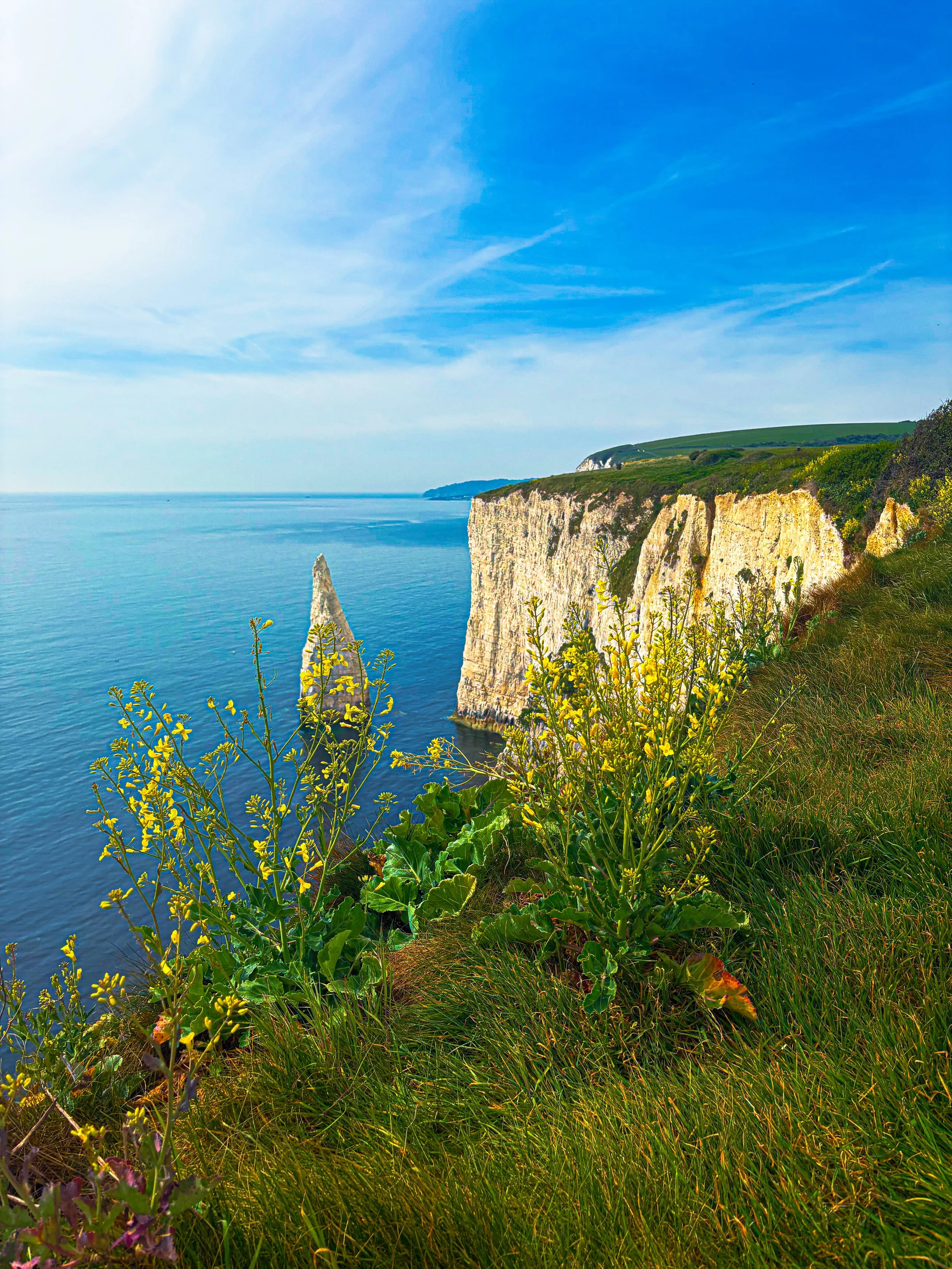 Old Harry Rocks