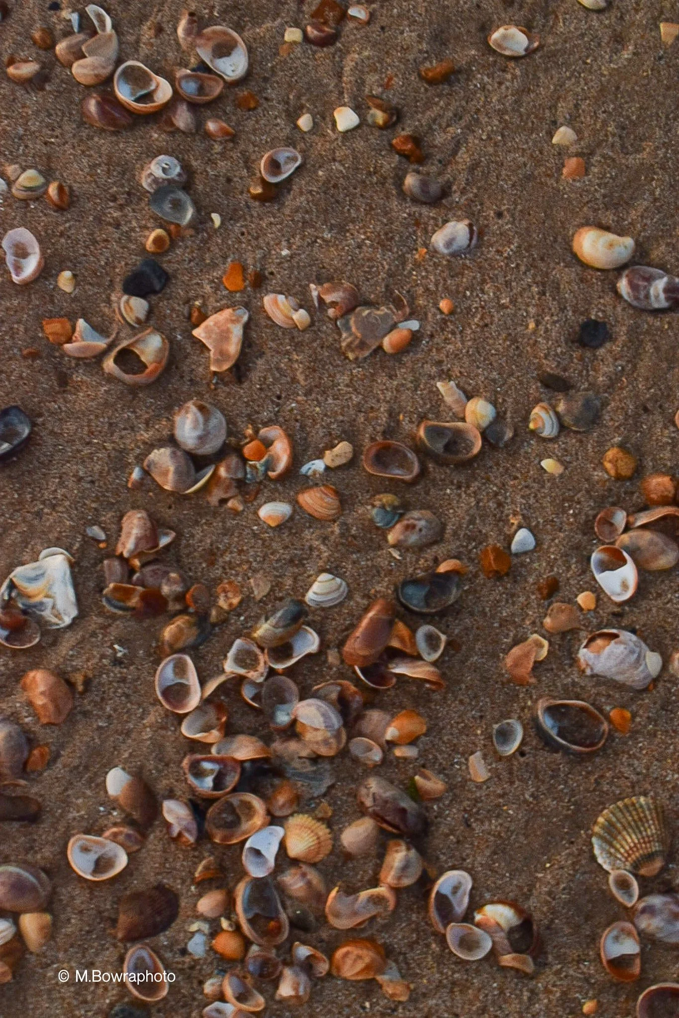 Branksome Chine