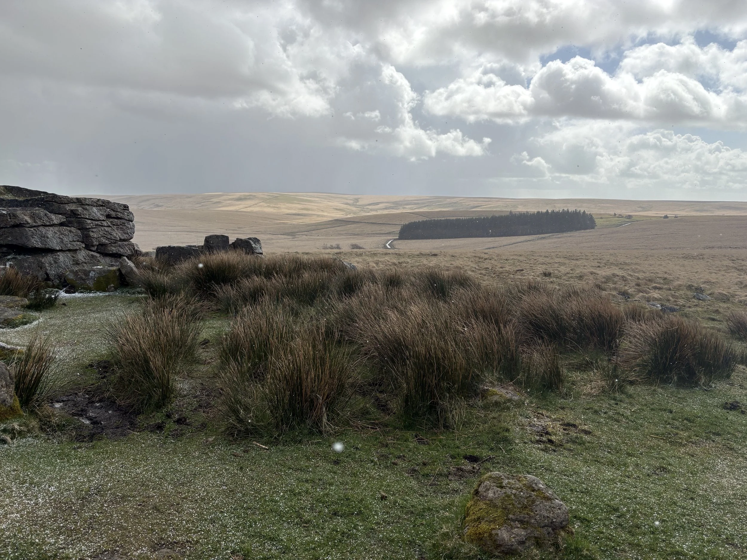 Dartmoor