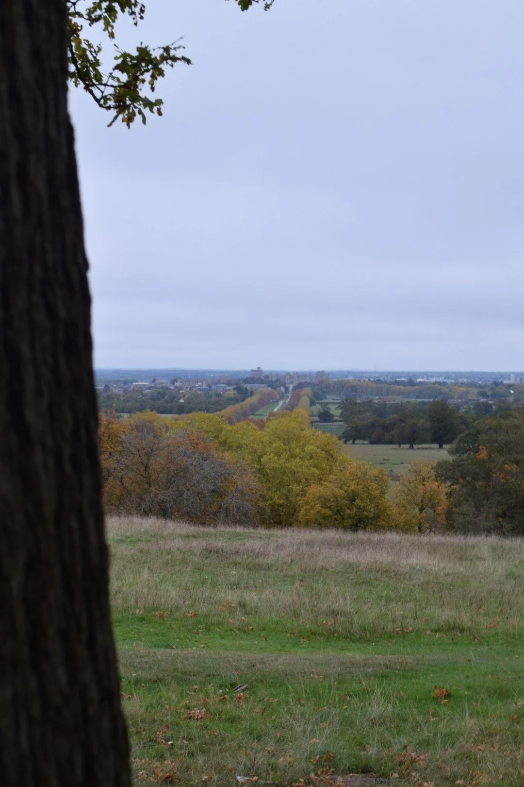 Windsor Castle