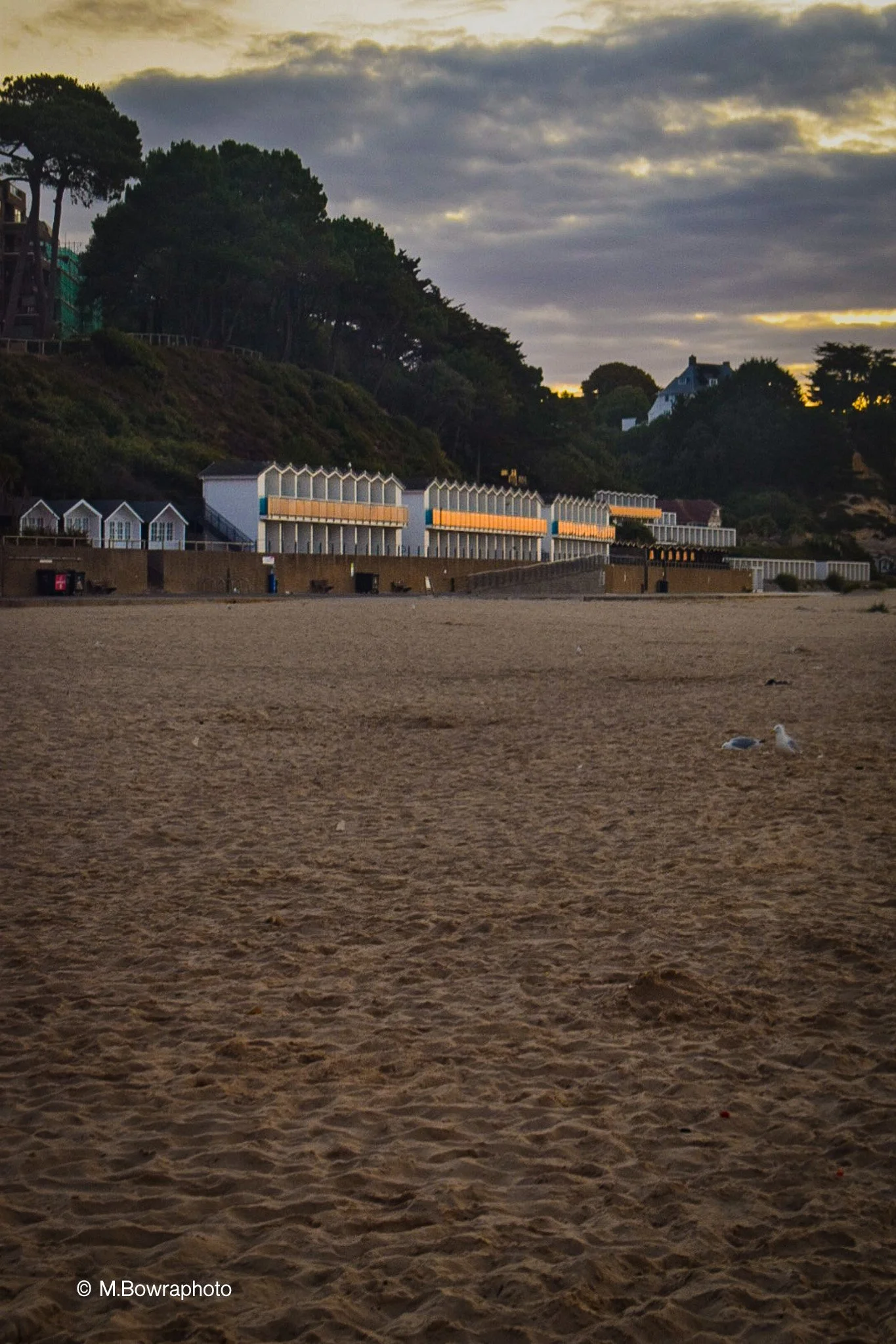 Branksome Chine