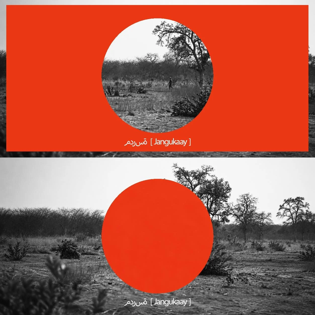 Une photo en noir et blanc de la savane avec des arbres dénudés et des buissons au premier plan.