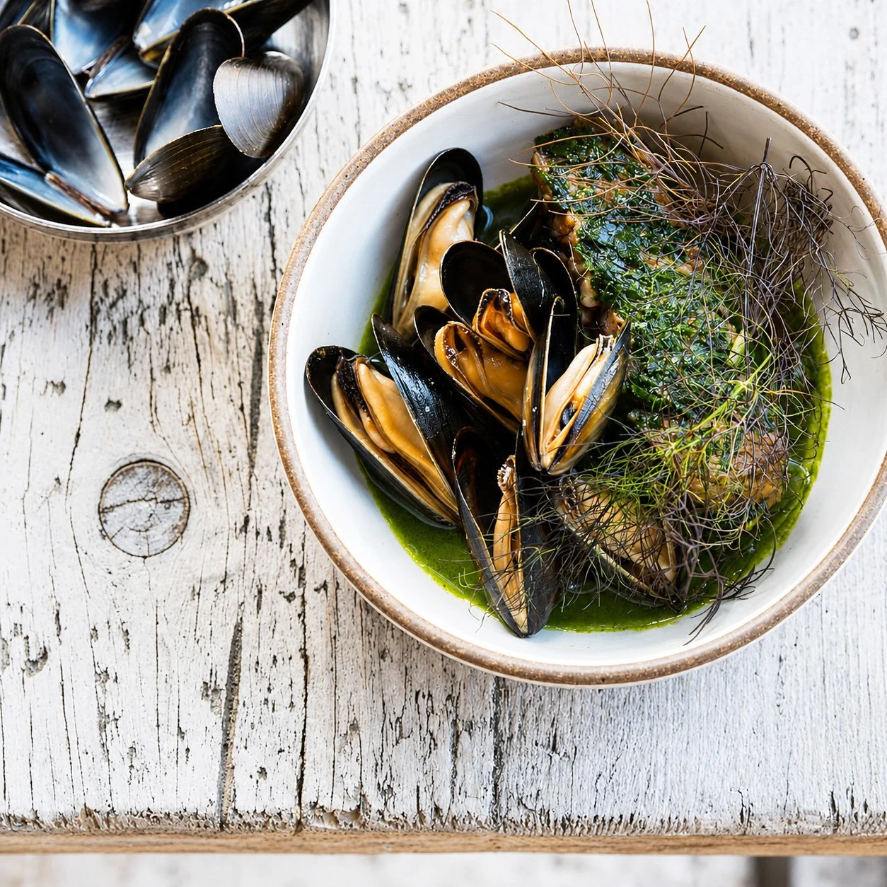 Mussels.jpg