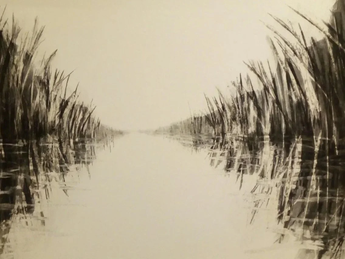 Black and white drawing of a river with tall reeds on both sides, reflecting in the water.