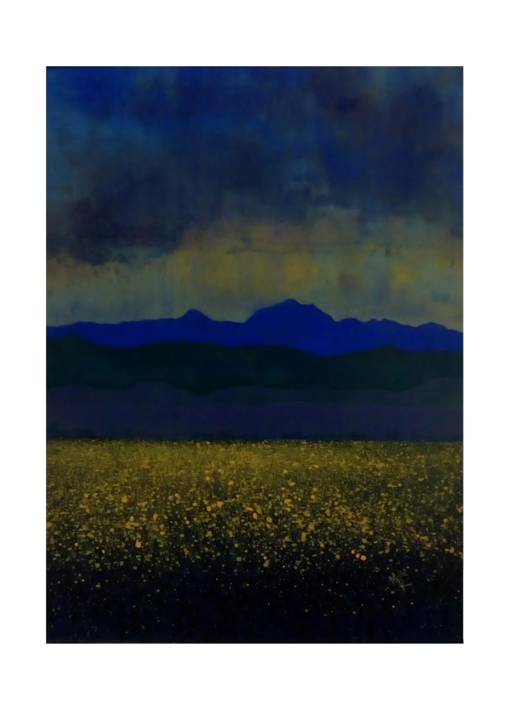 Night Fields