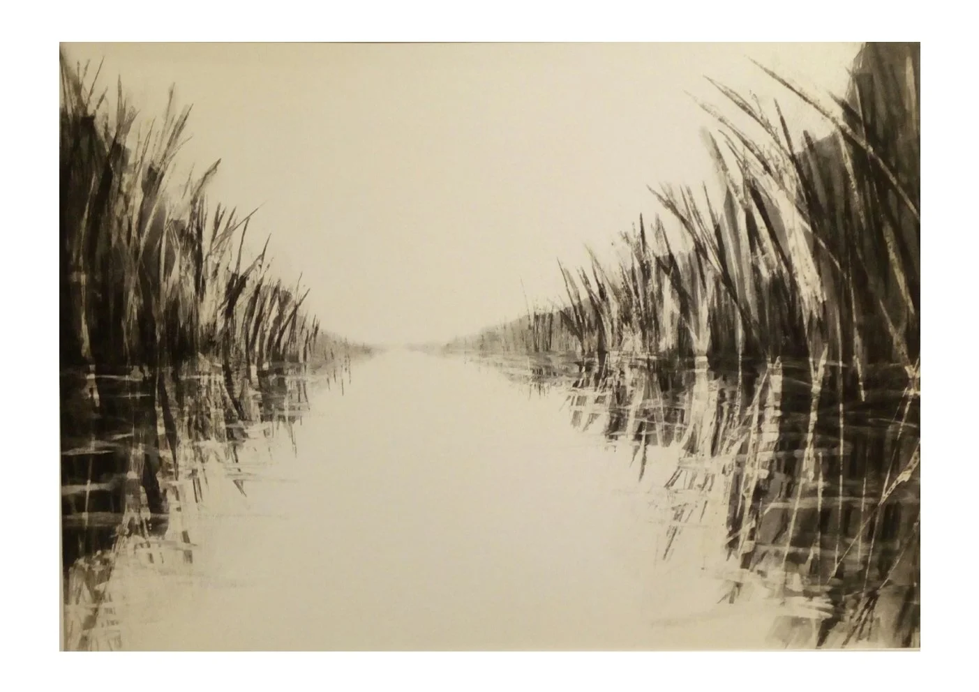 Black and white drawing of a river with tall reeds on both sides, reflecting in the water.
