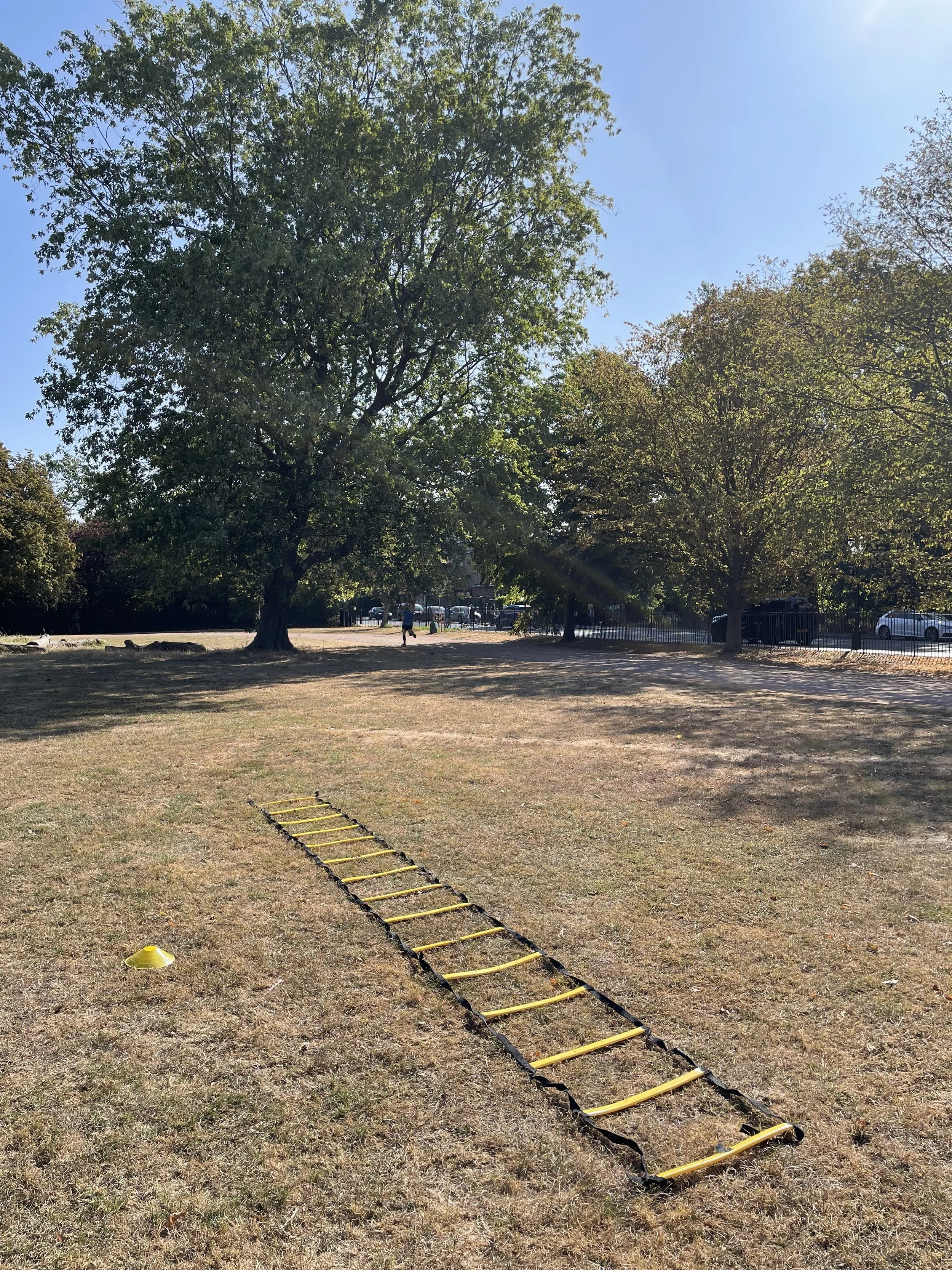 A yellow cone and a yellow ladder lying on the grass with a tree in the background