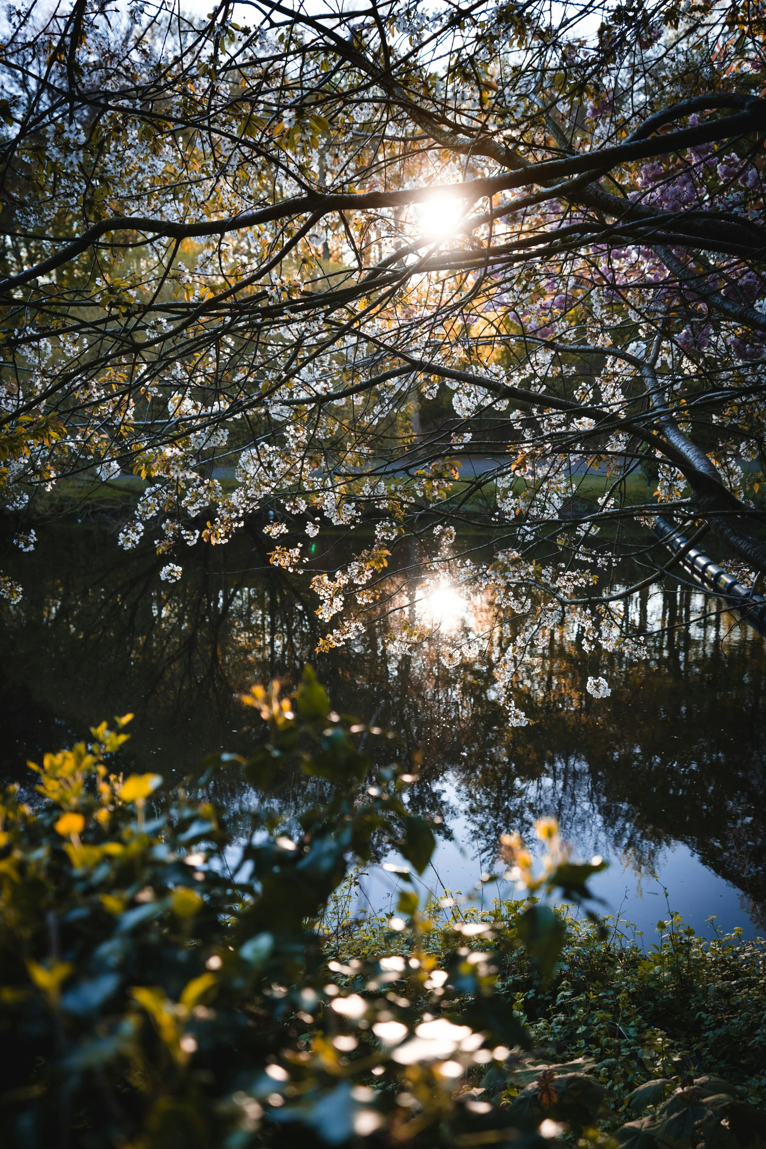 Being Outdoors