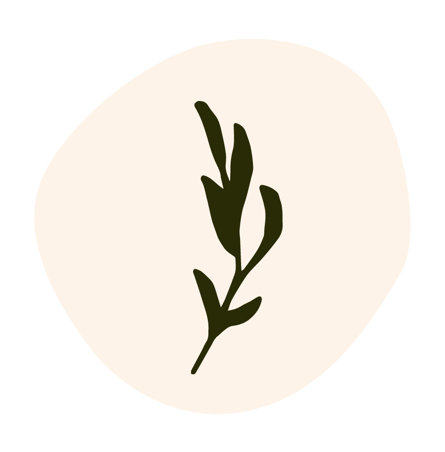 Minimalist illustration of a green leafy plant on a cream-colored rounded background.