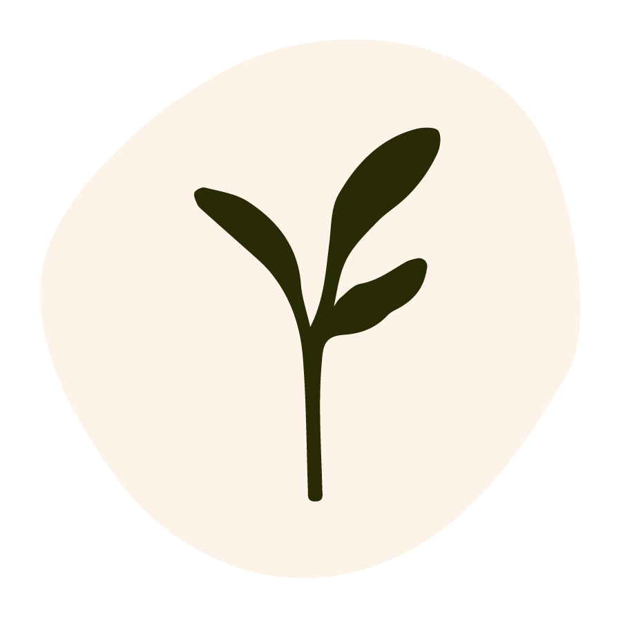 Simple illustration of a green plant with three leaves on a beige circular background.